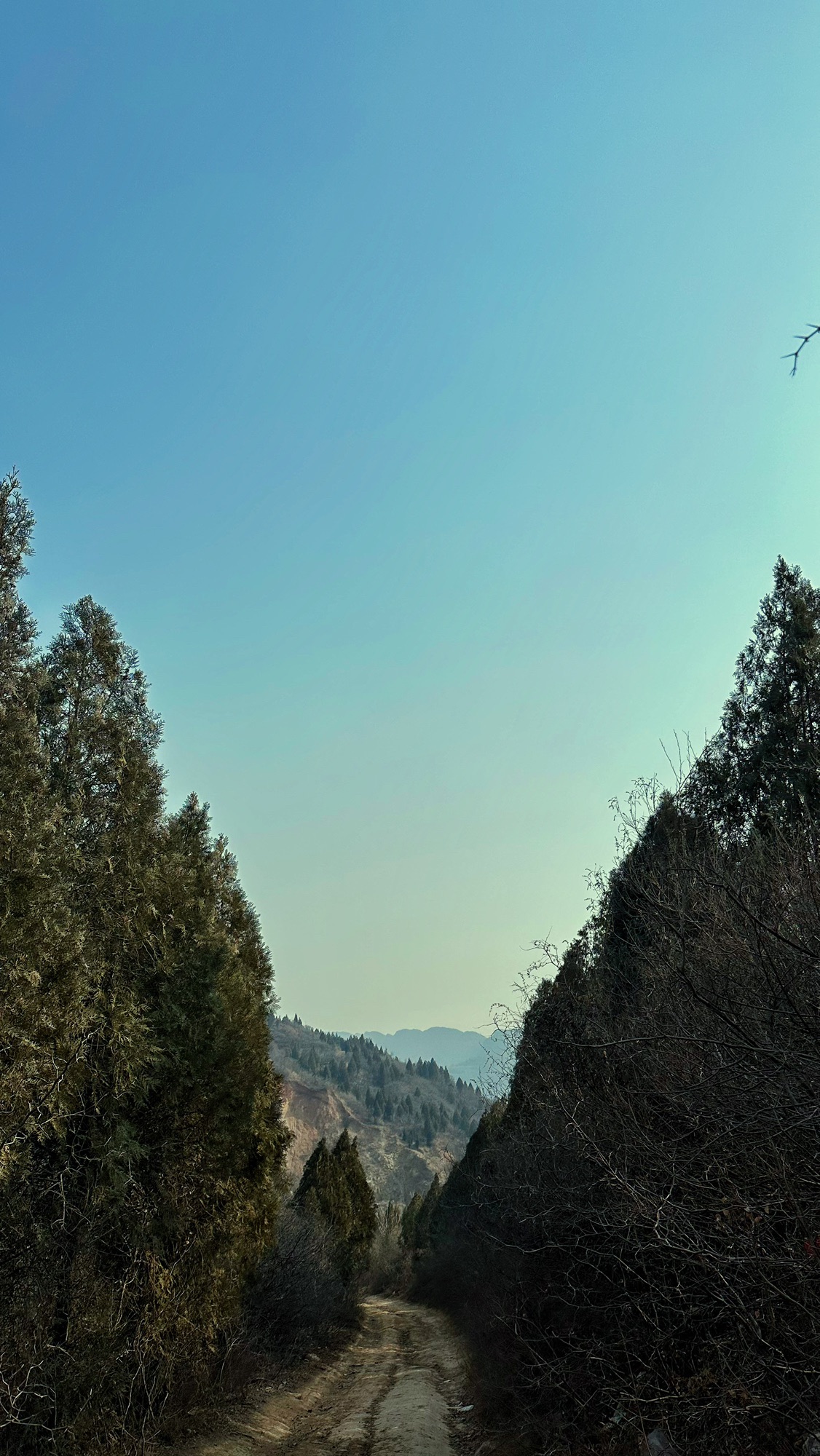锦屏山生态园旅行图片 3