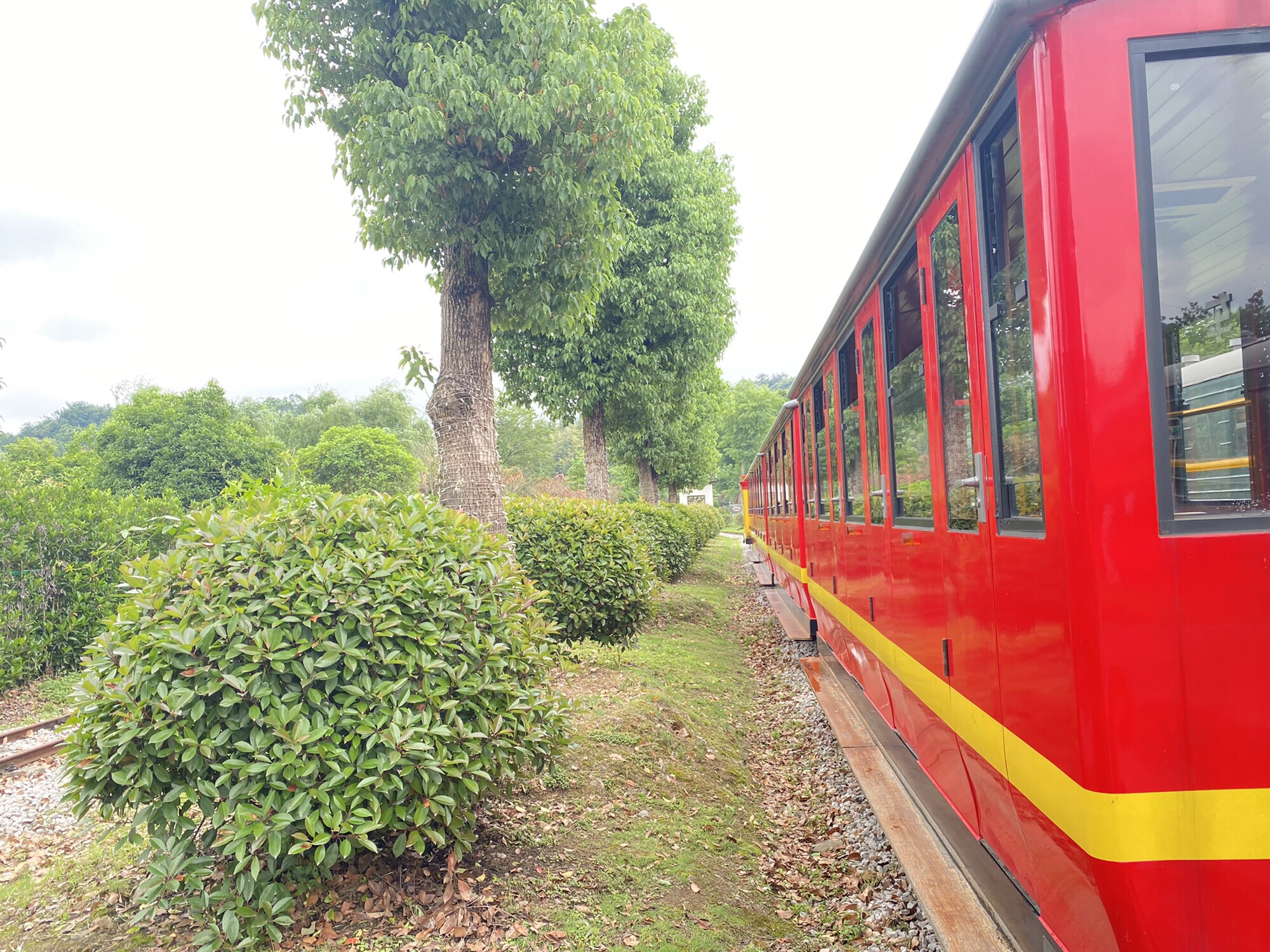 田园鲁家景区旅行图片 3