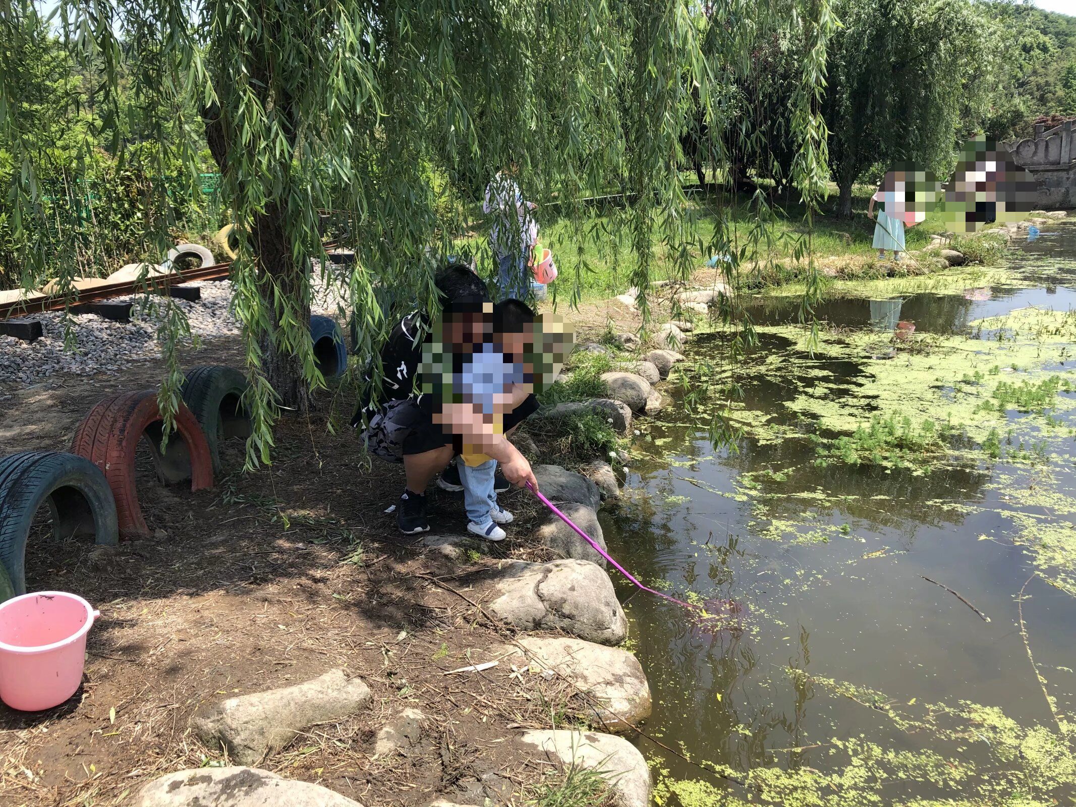 田园鲁家景区旅行图片 3