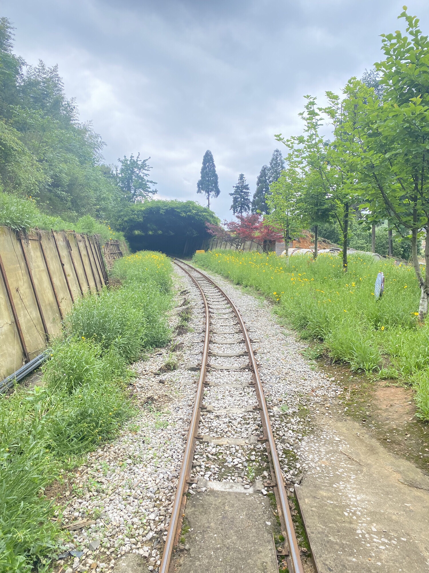 田园鲁家景区旅行图片 1