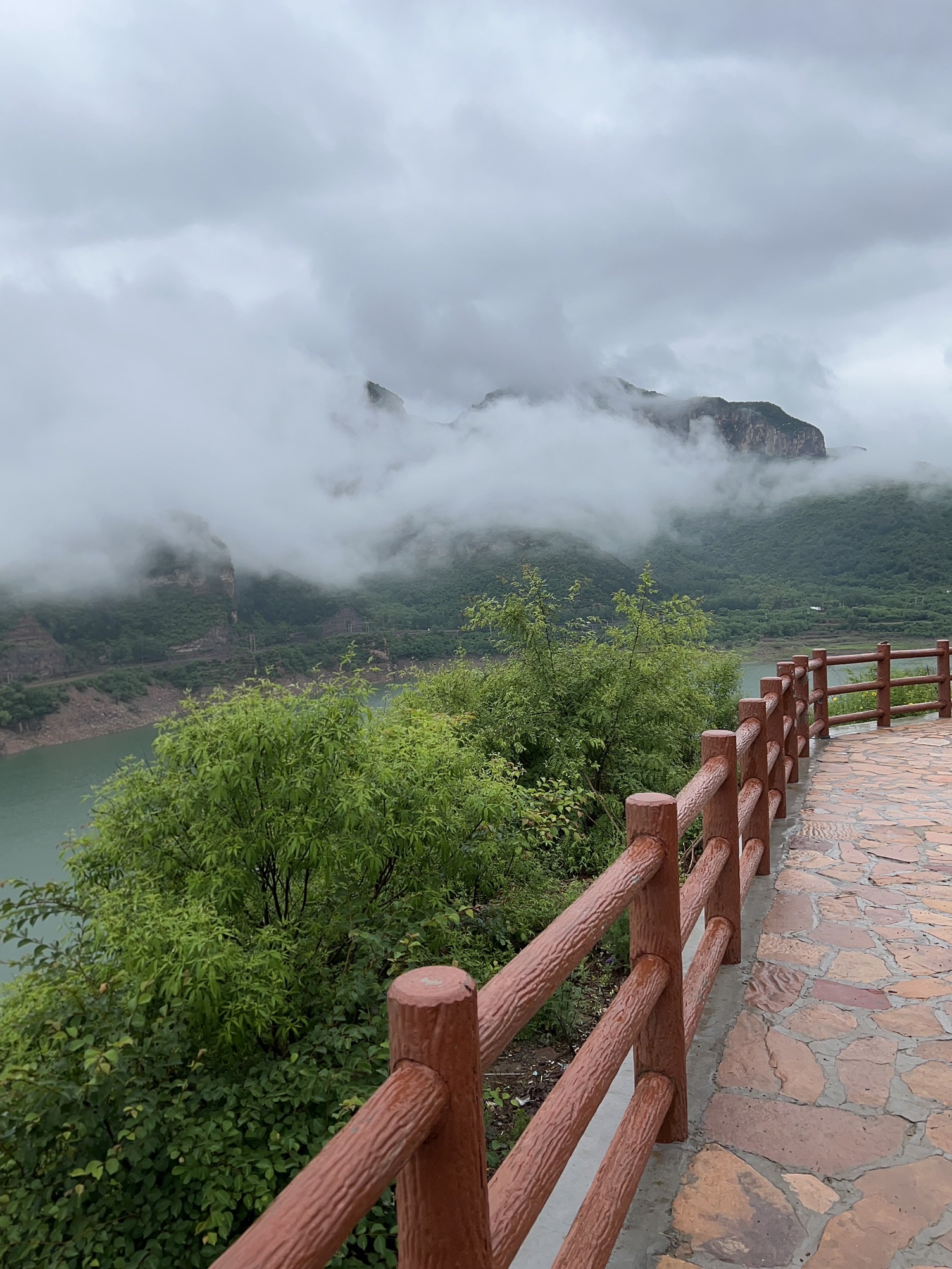 青塔湖风景区旅行图片 3