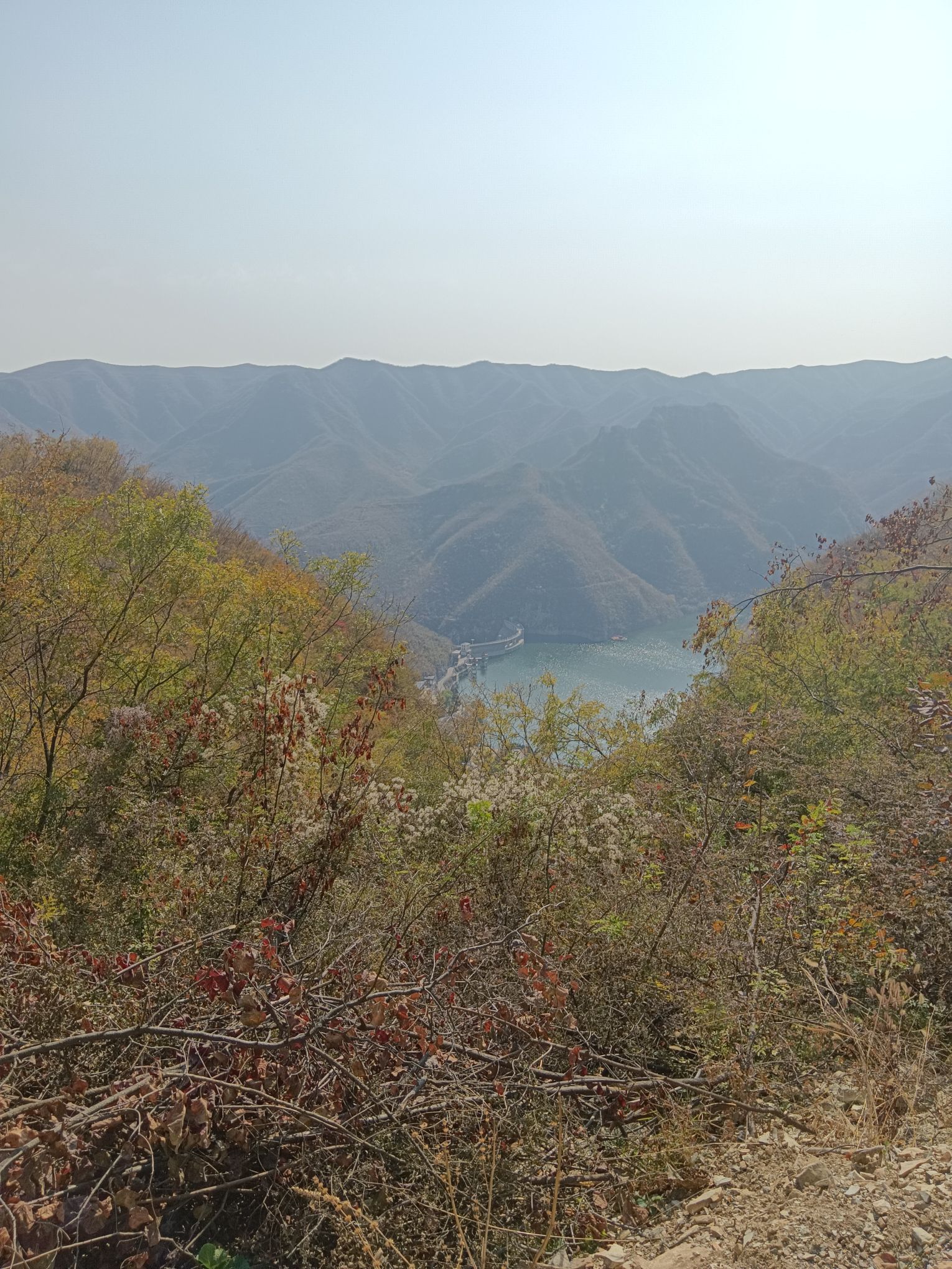 青塔湖风景区旅行图片 1