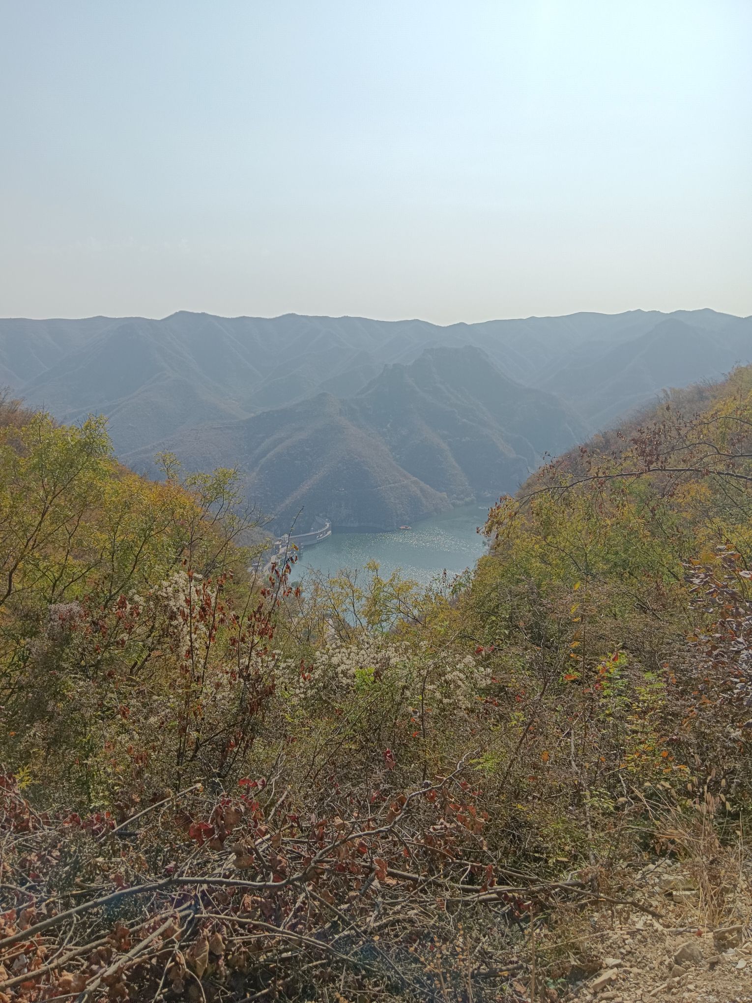 青塔湖风景区旅行图片 2