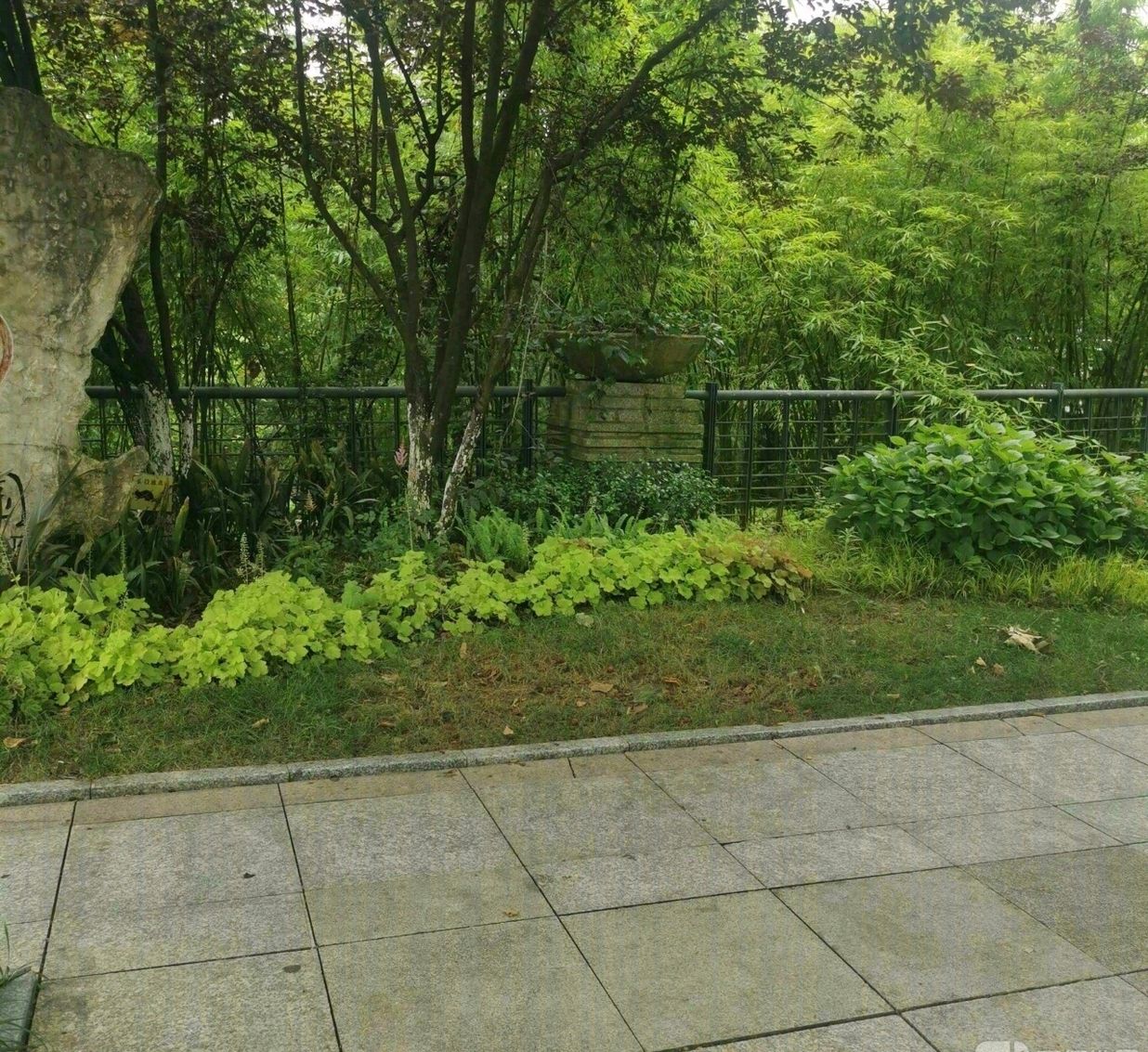 观山湖公园-贵州生态体育公园旅行图片 1