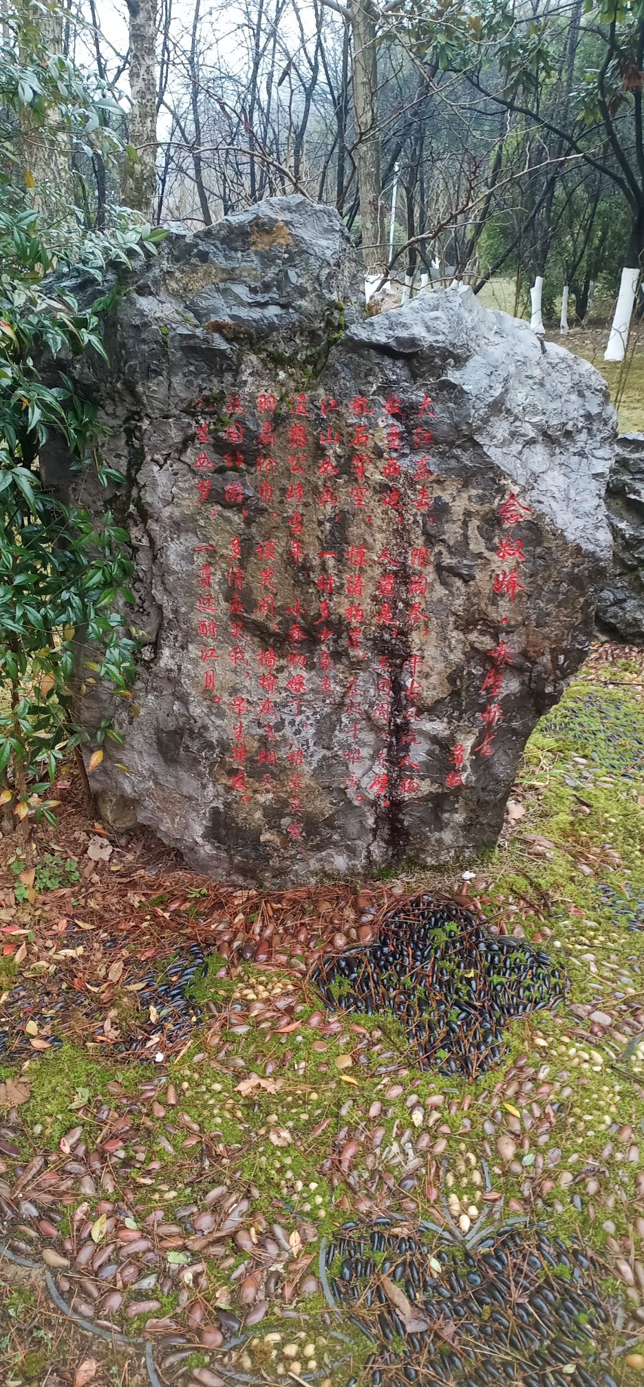 观山湖公园-贵州生态体育公园旅行图片 3
