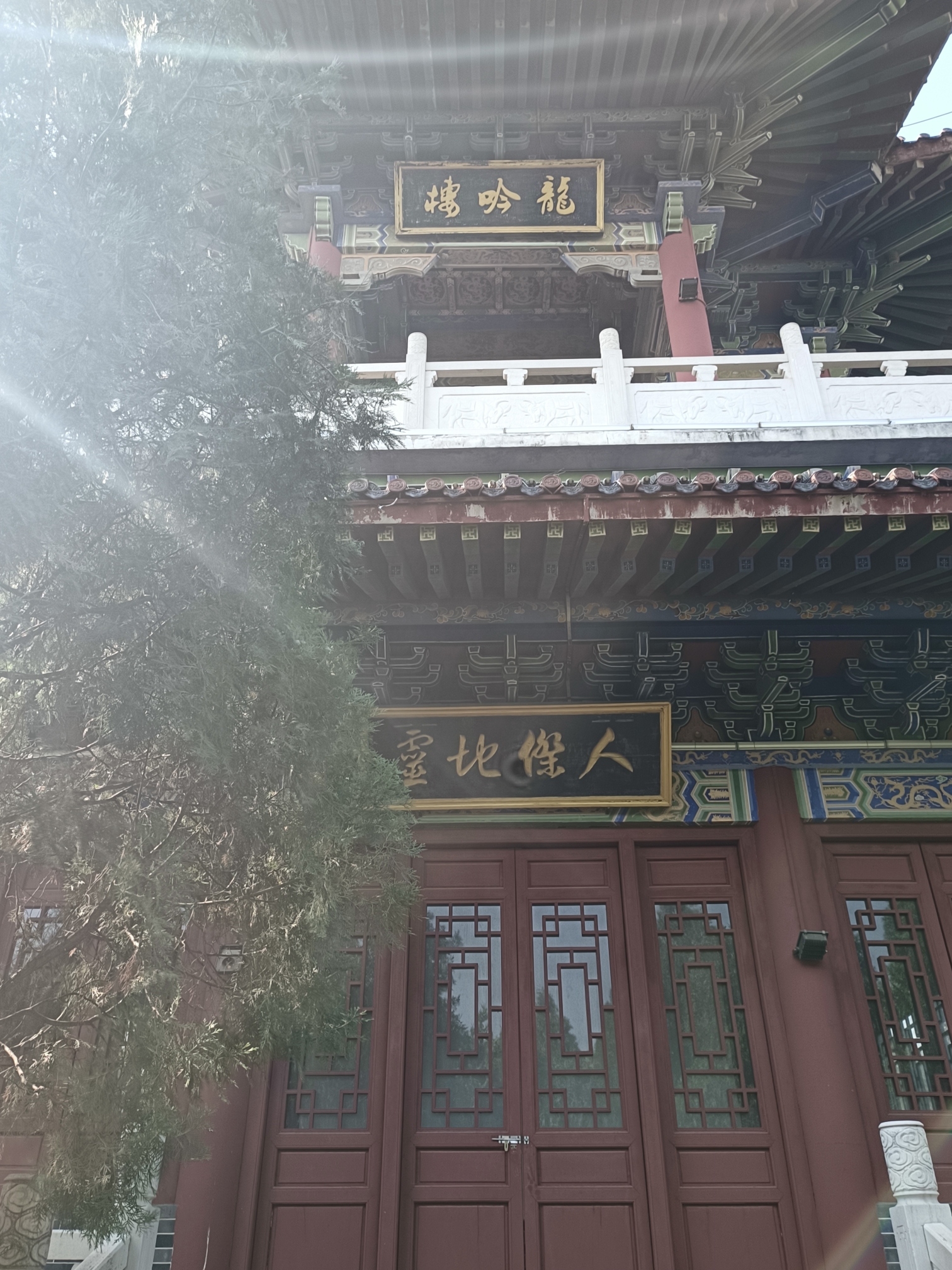 龙吟楼旅行图片 1