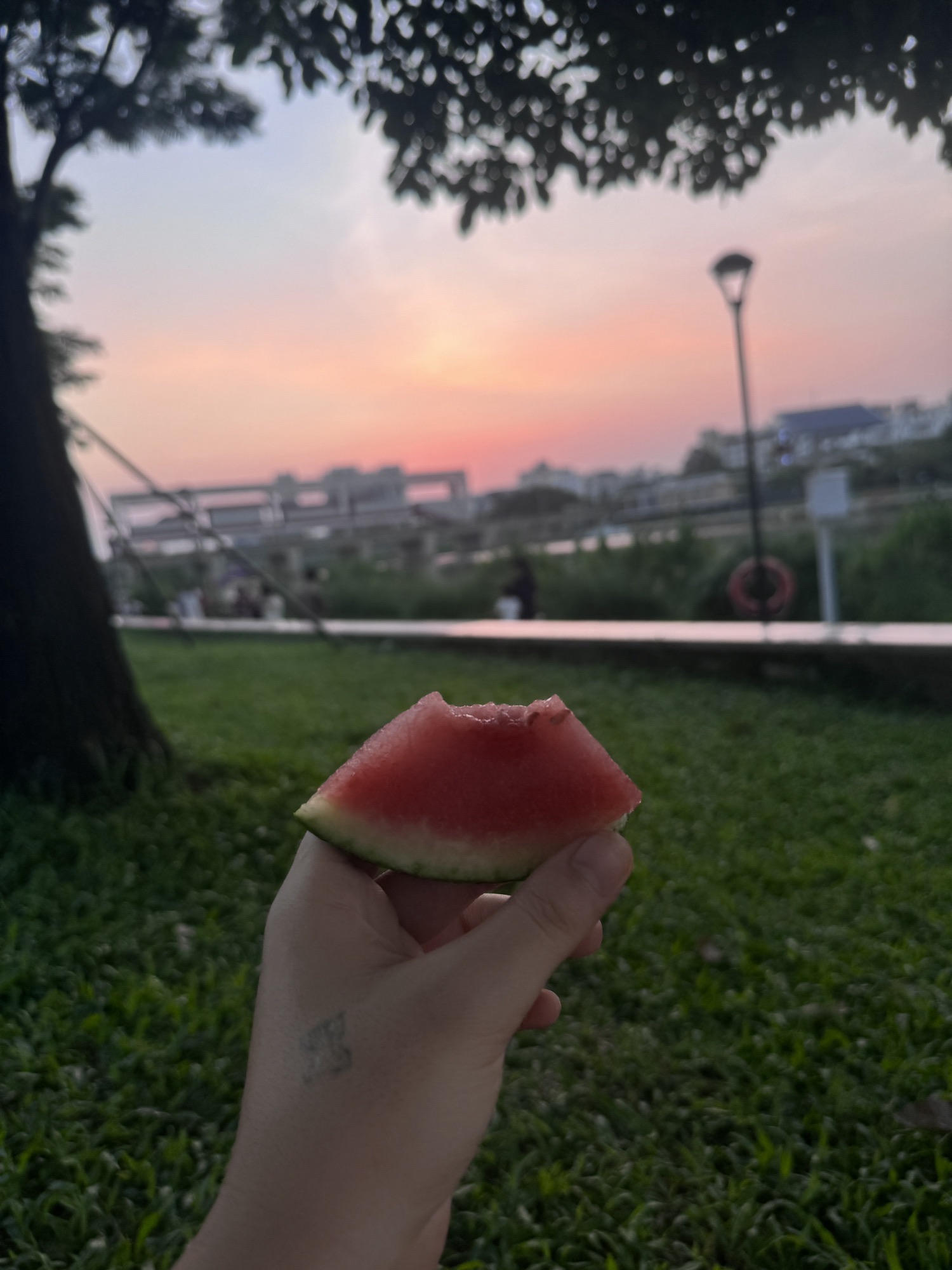 燕罗湿地公园旅行图片 3