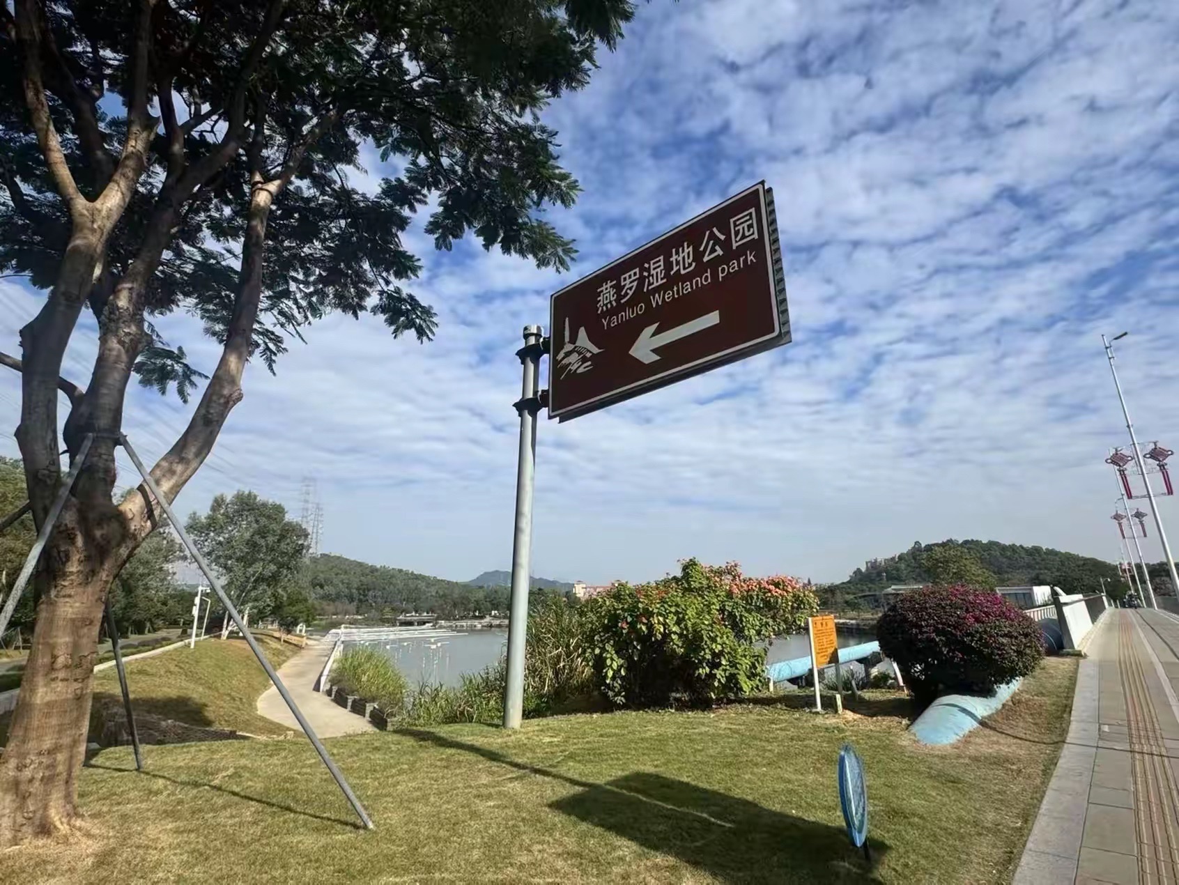 燕罗湿地公园旅行图片 3