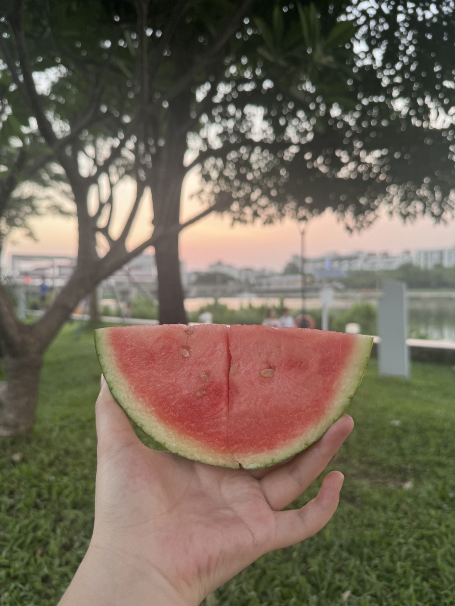 燕罗湿地公园旅行图片 2