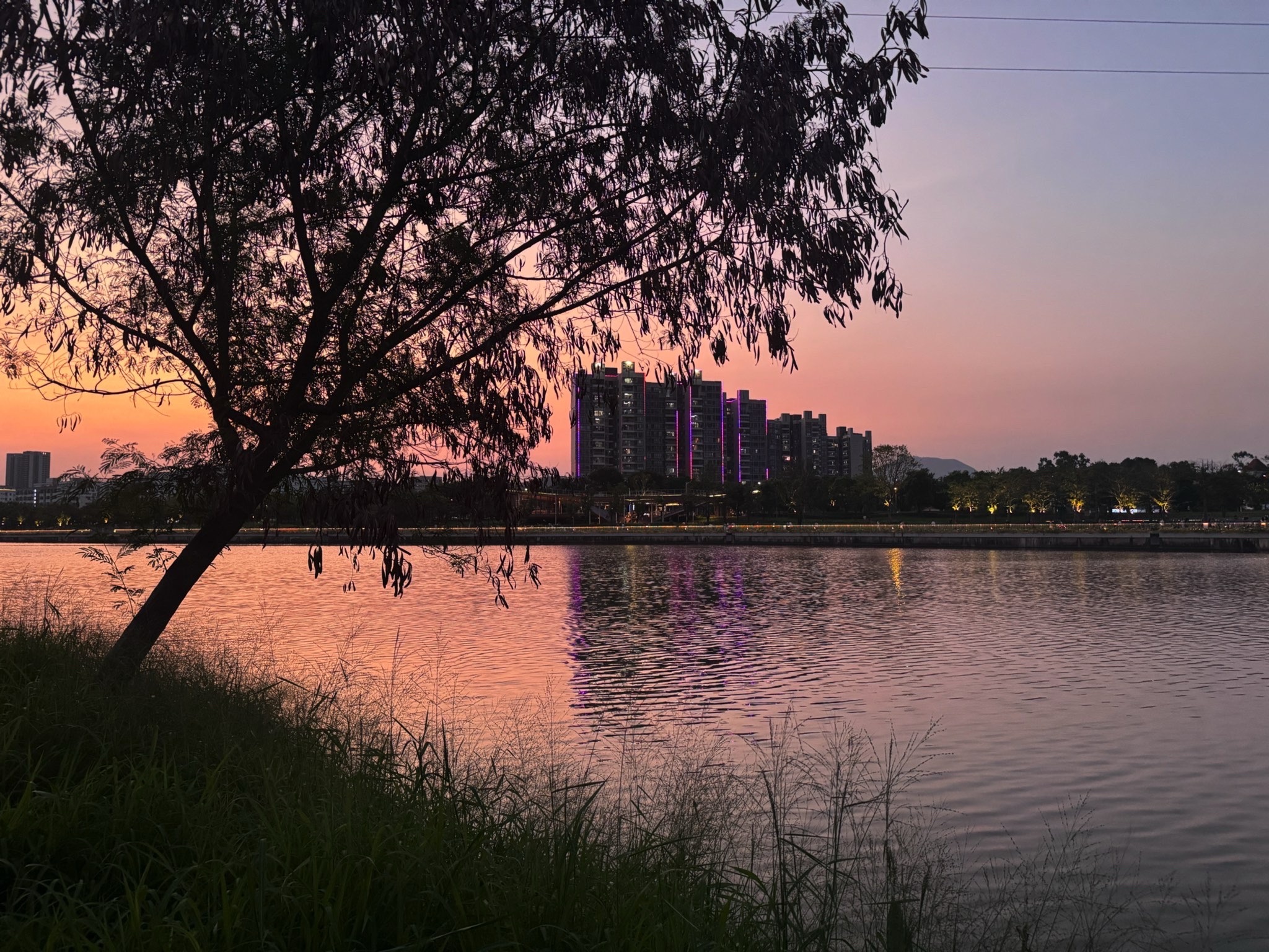 燕罗湿地公园旅行图片 1