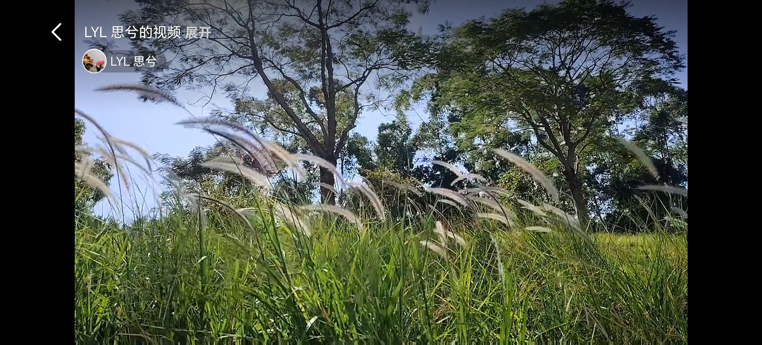 燕罗湿地公园旅行图片 3
