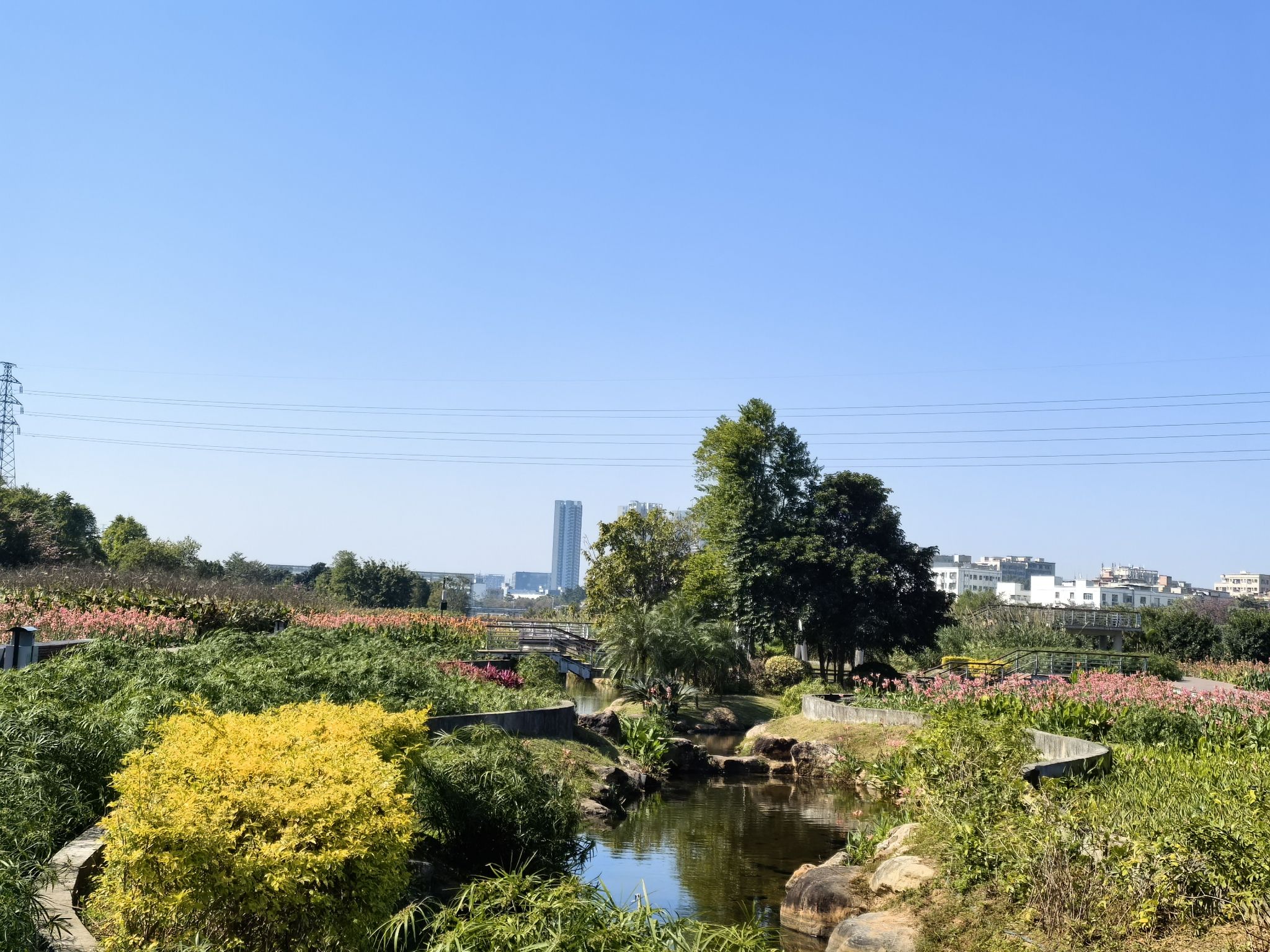燕罗湿地公园旅行图片 3