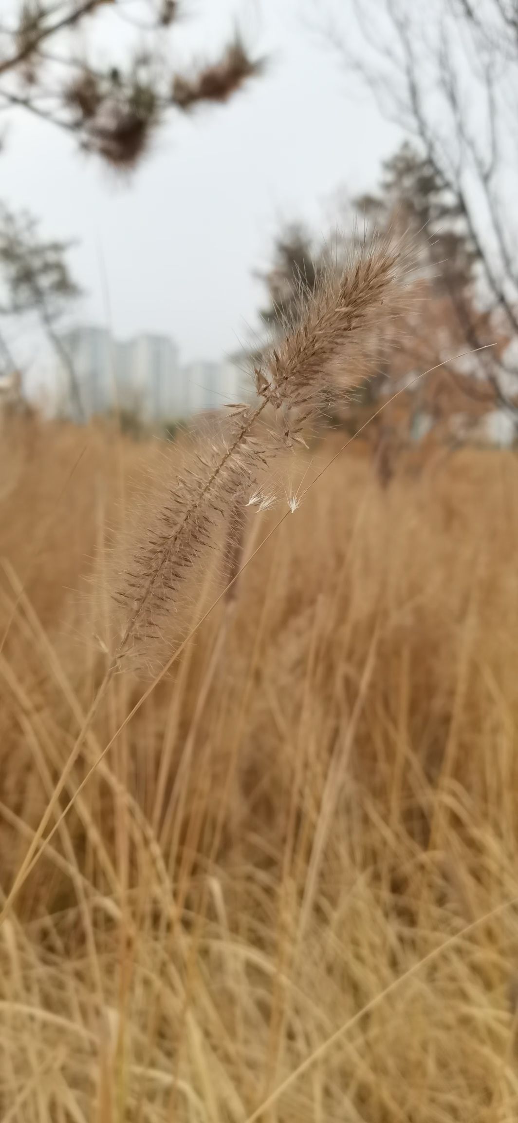 139记忆公园旅行图片 3