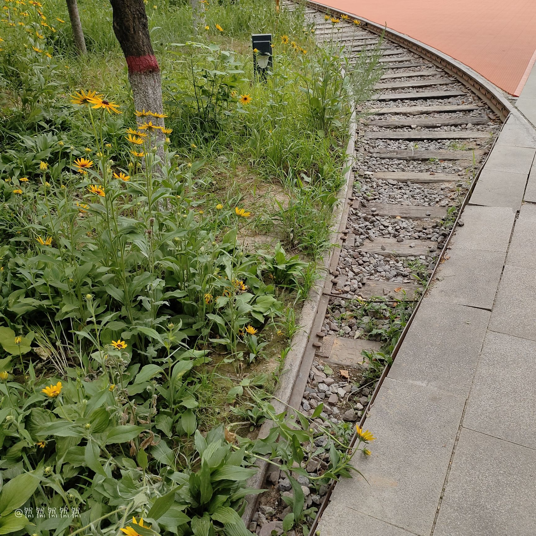 139记忆公园旅行图片 2