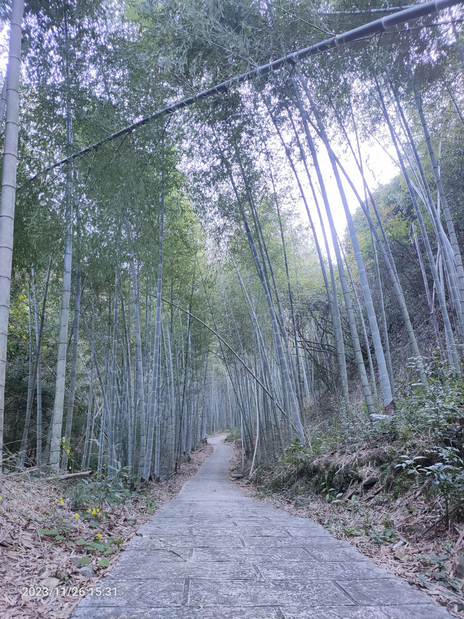 仙洞风景区旅行图片 1