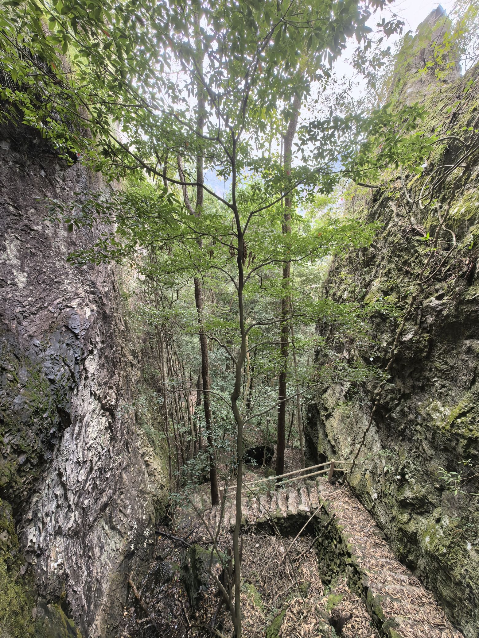 仙洞风景区旅行图片 3