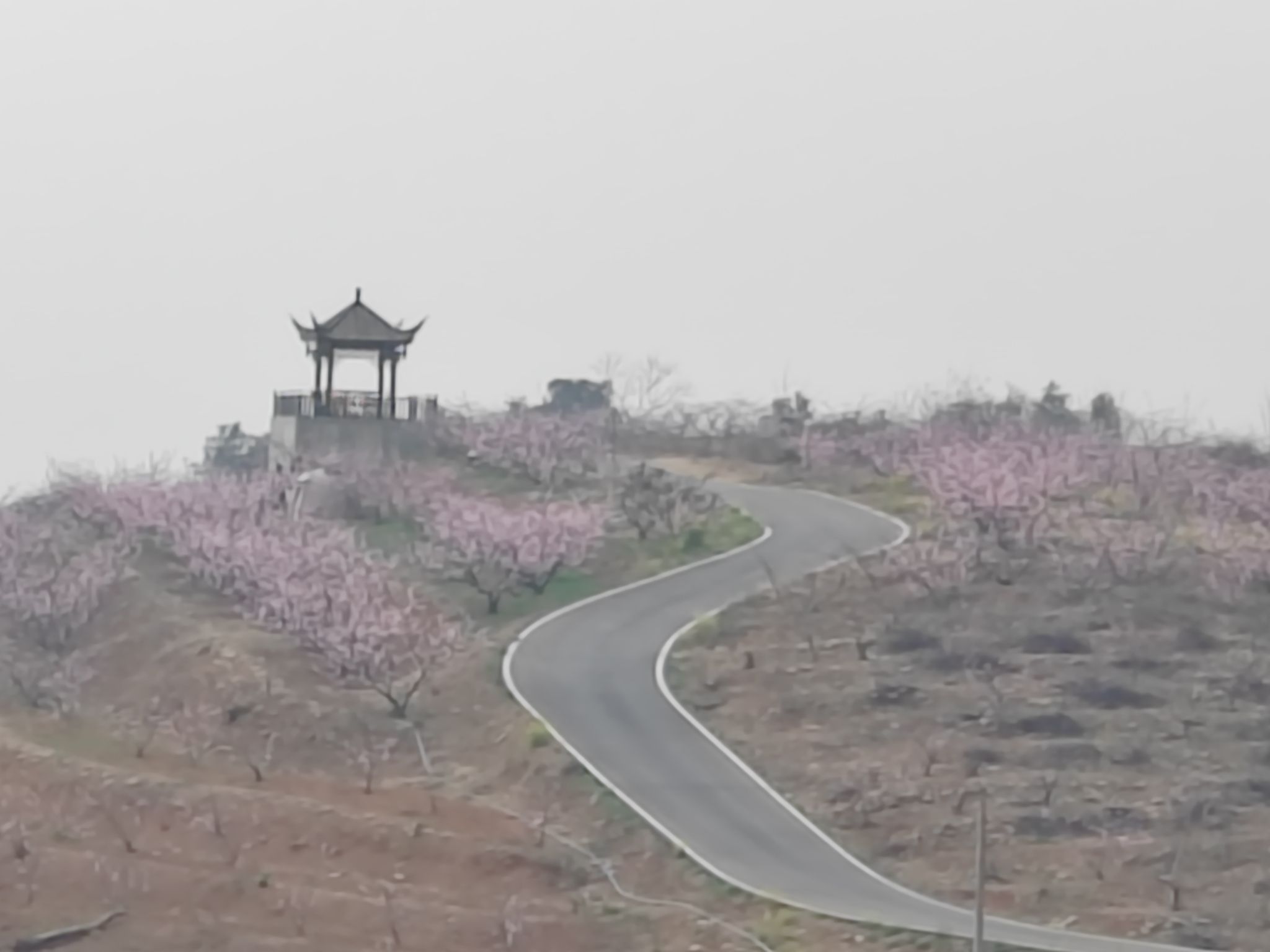 灵仙金渔桃缘景区旅行图片 3