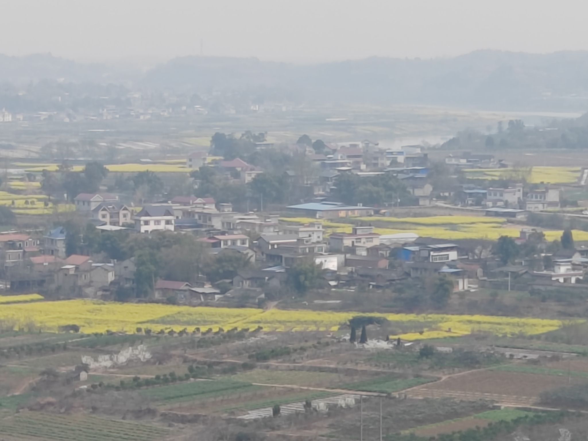 灵仙金渔桃缘景区旅行图片 1