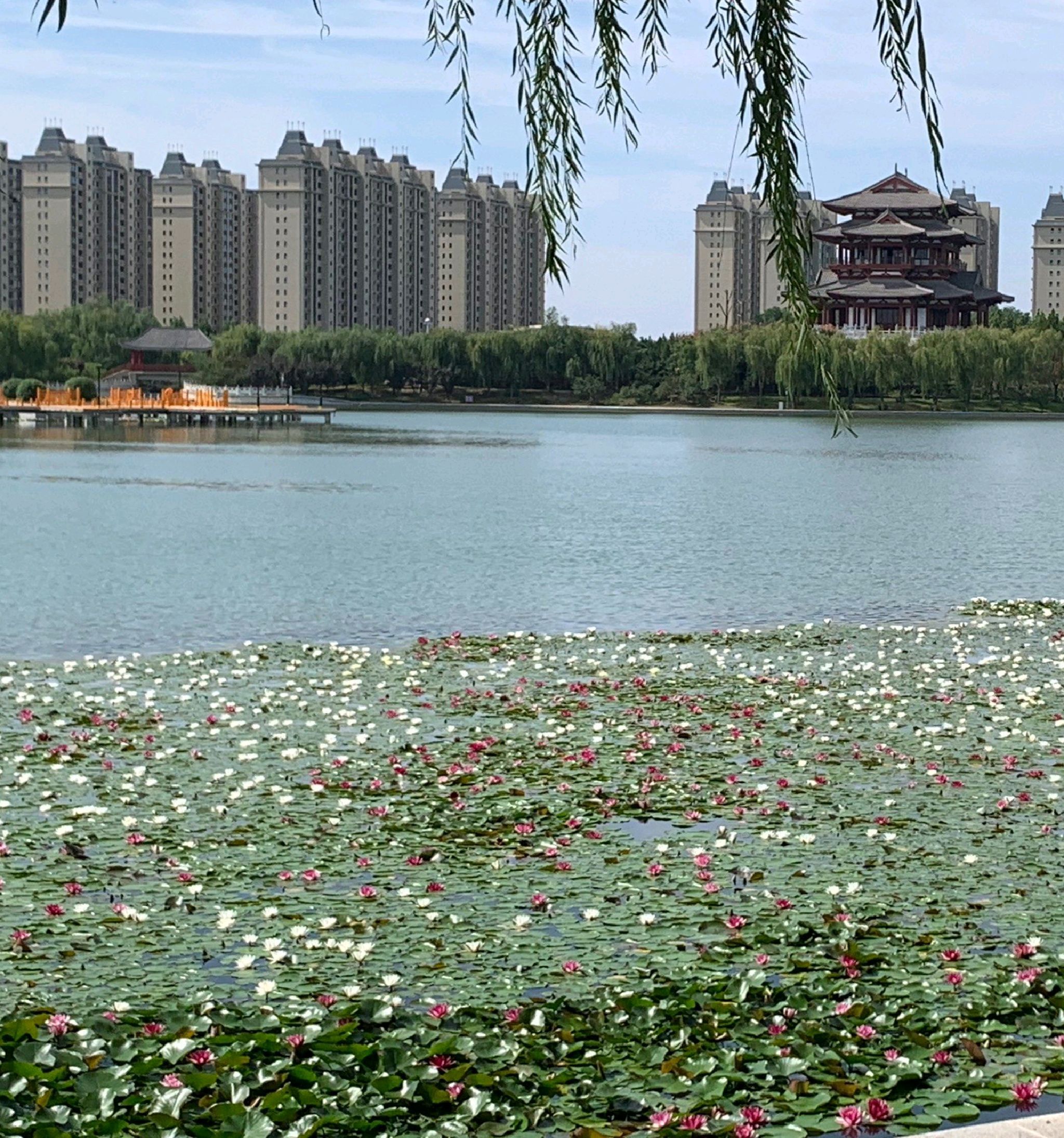 如意公园旅行图片 2
