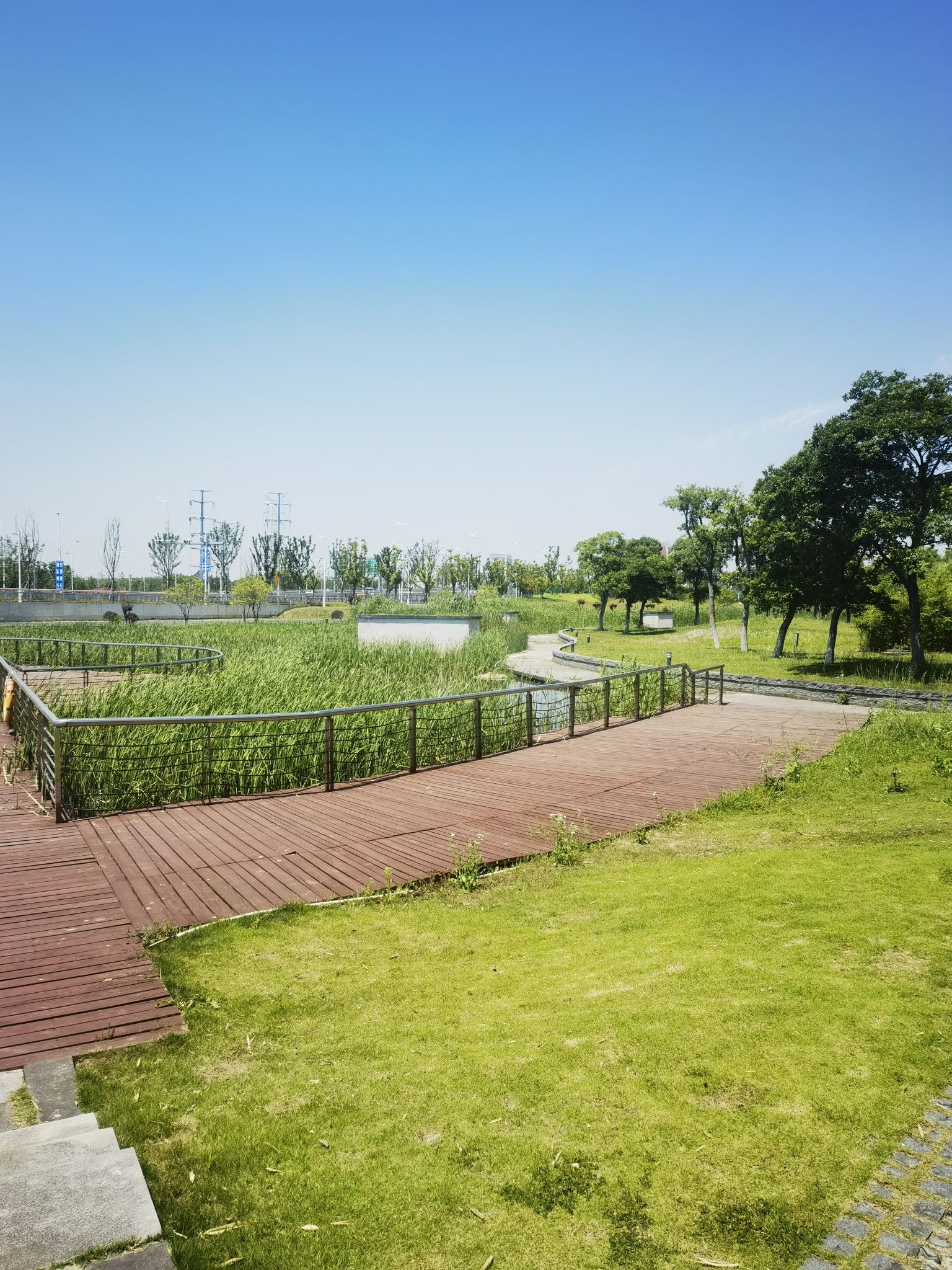 运动公园旅行图片 3