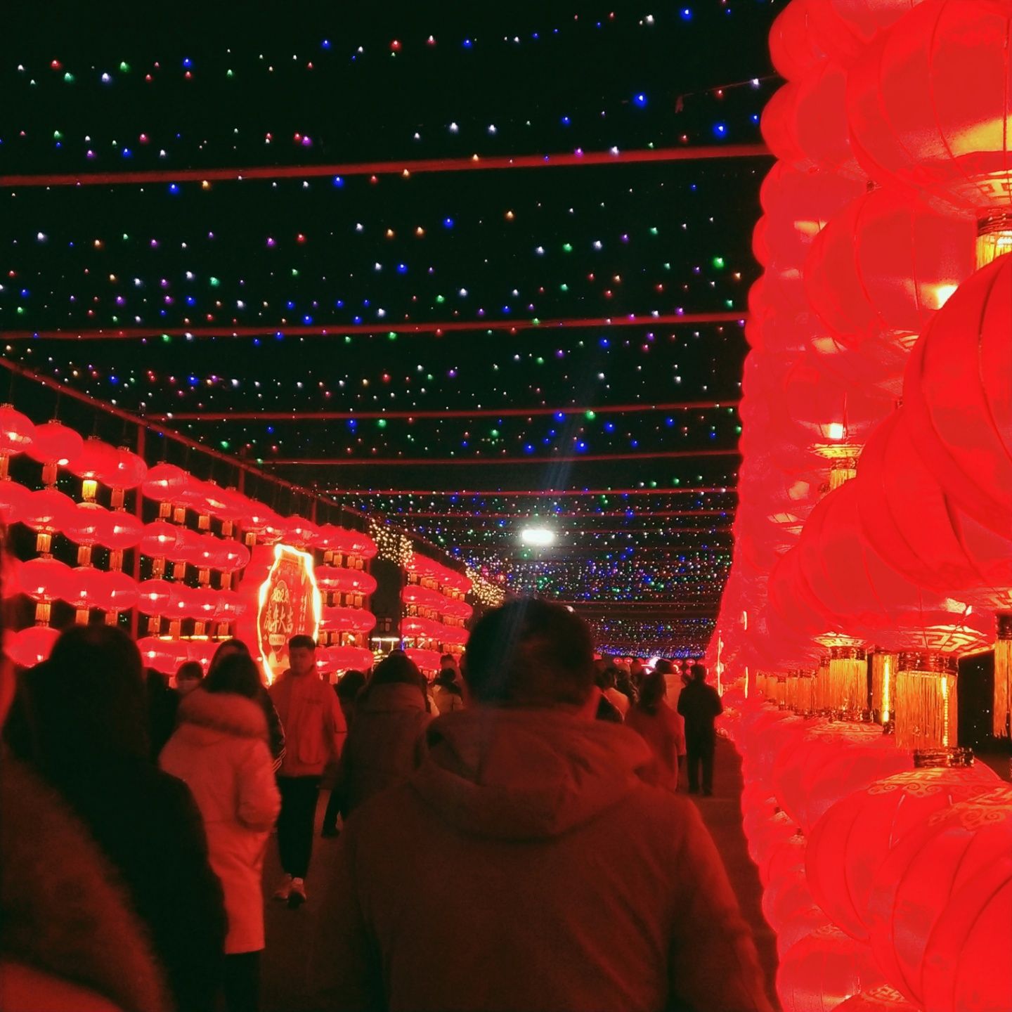 幸福公园旅行图片 1