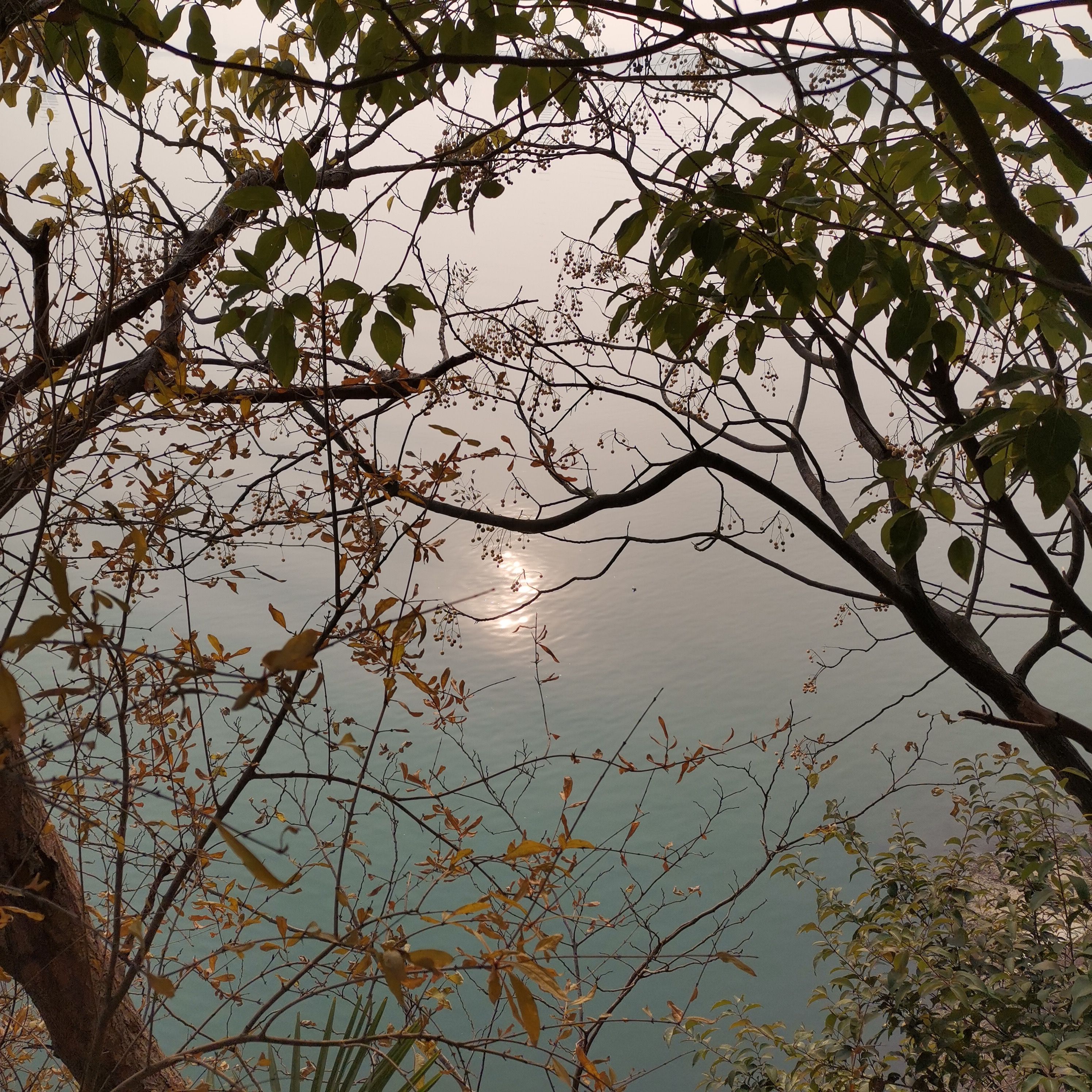 湘潭窑湾历史文化街区旅行图片 2