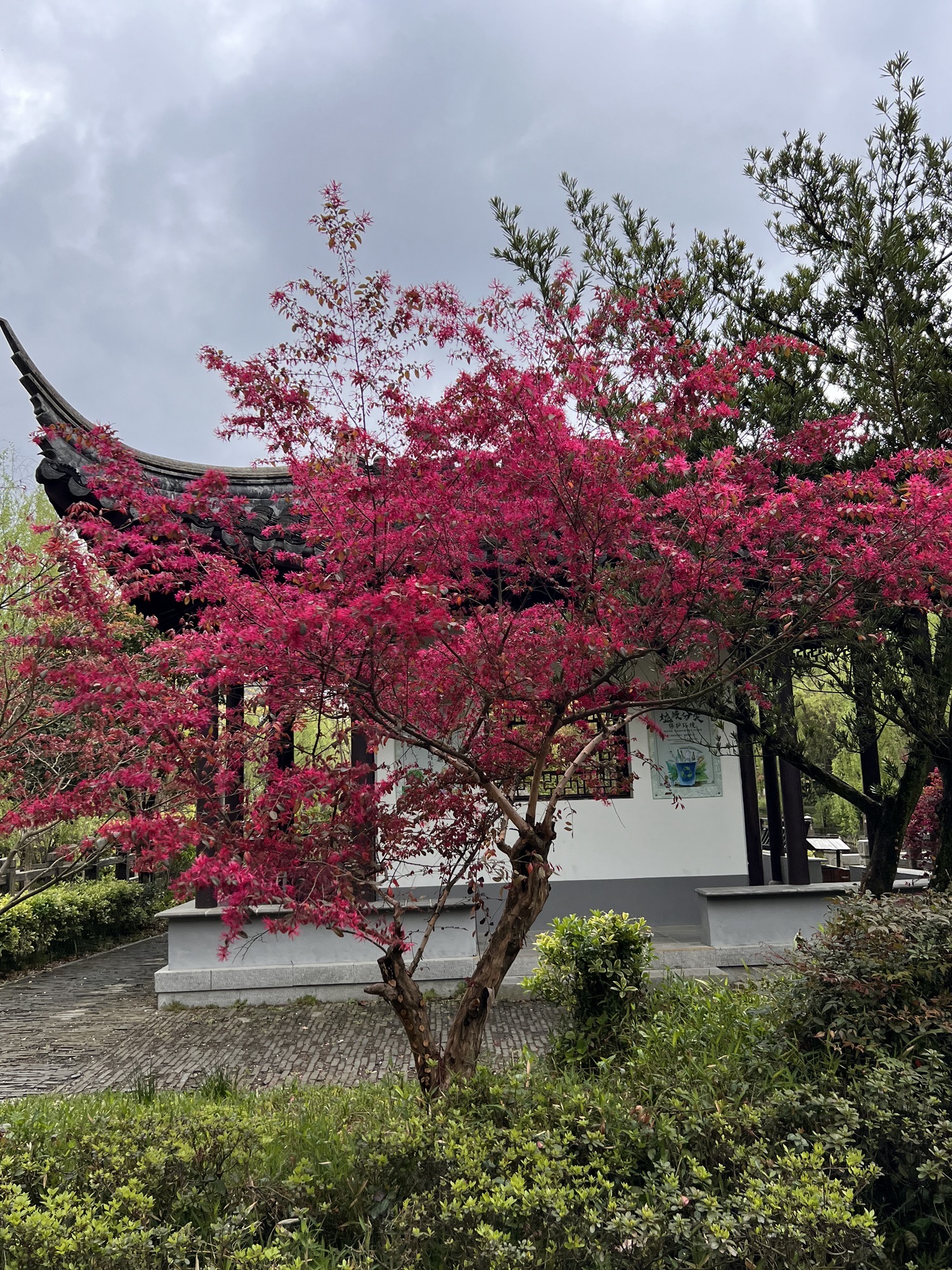 枫溪公园旅行图片 2