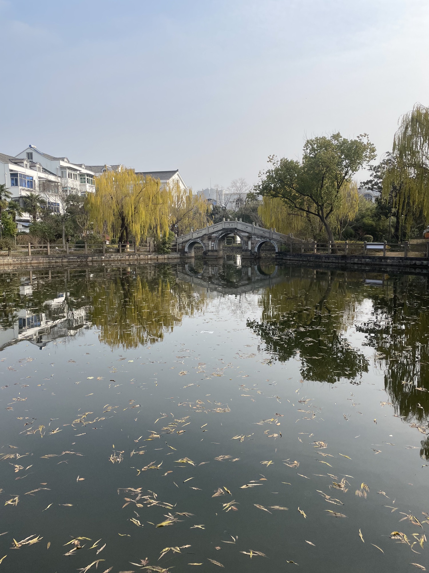 枫溪公园旅行图片 2