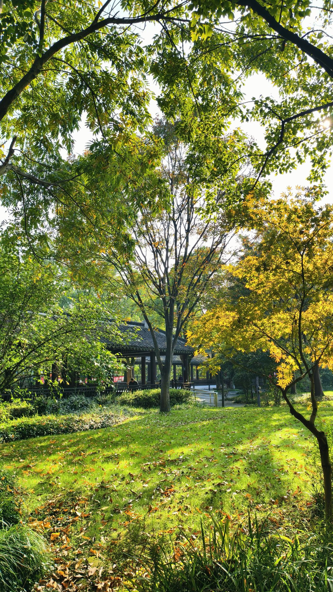 枫溪公园旅行图片 3