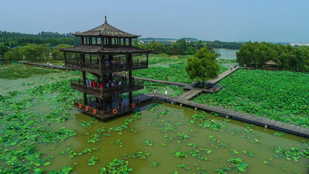 台儿庄运河国家湿地公园