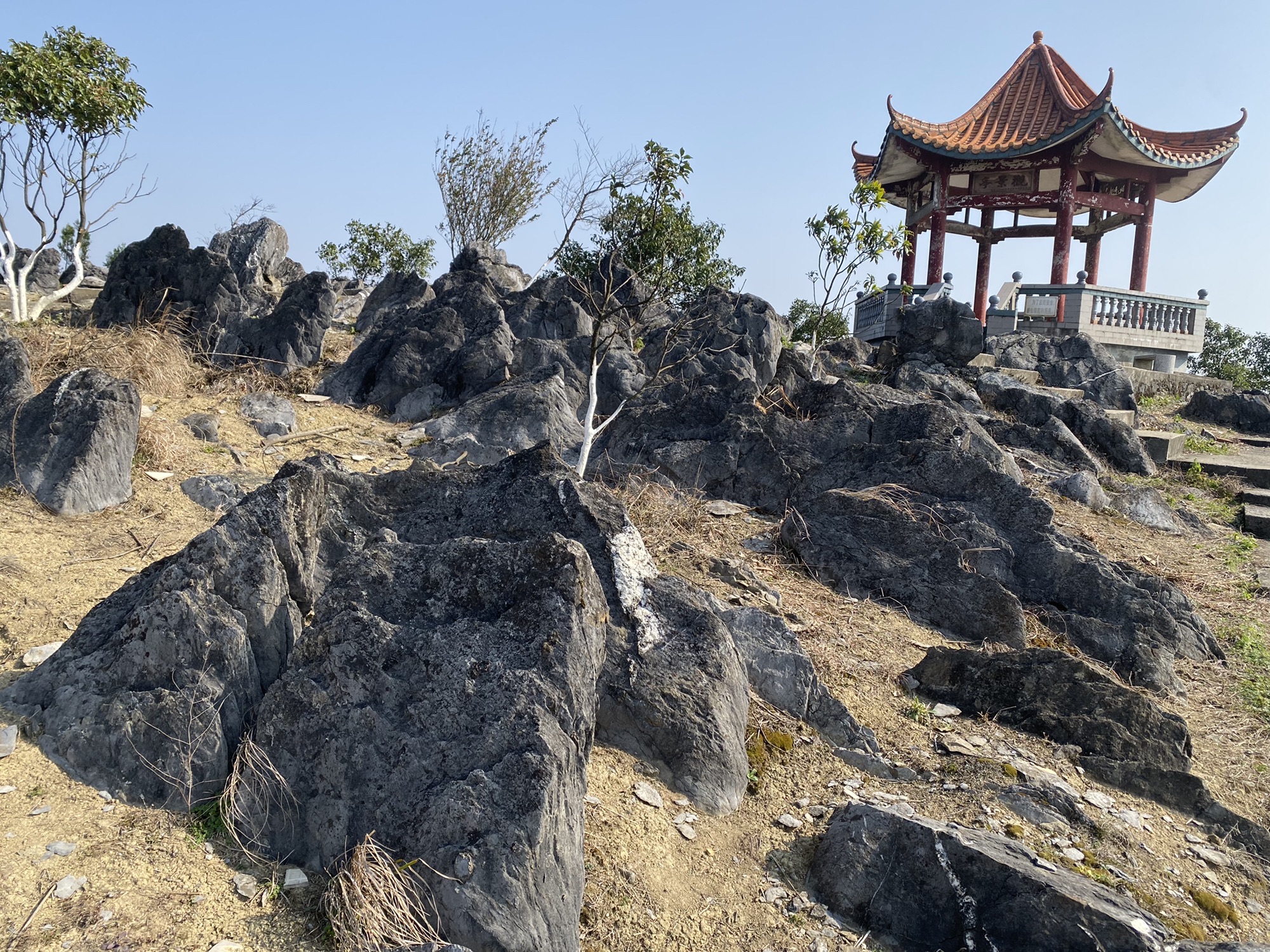 三阳仙旅行图片 1