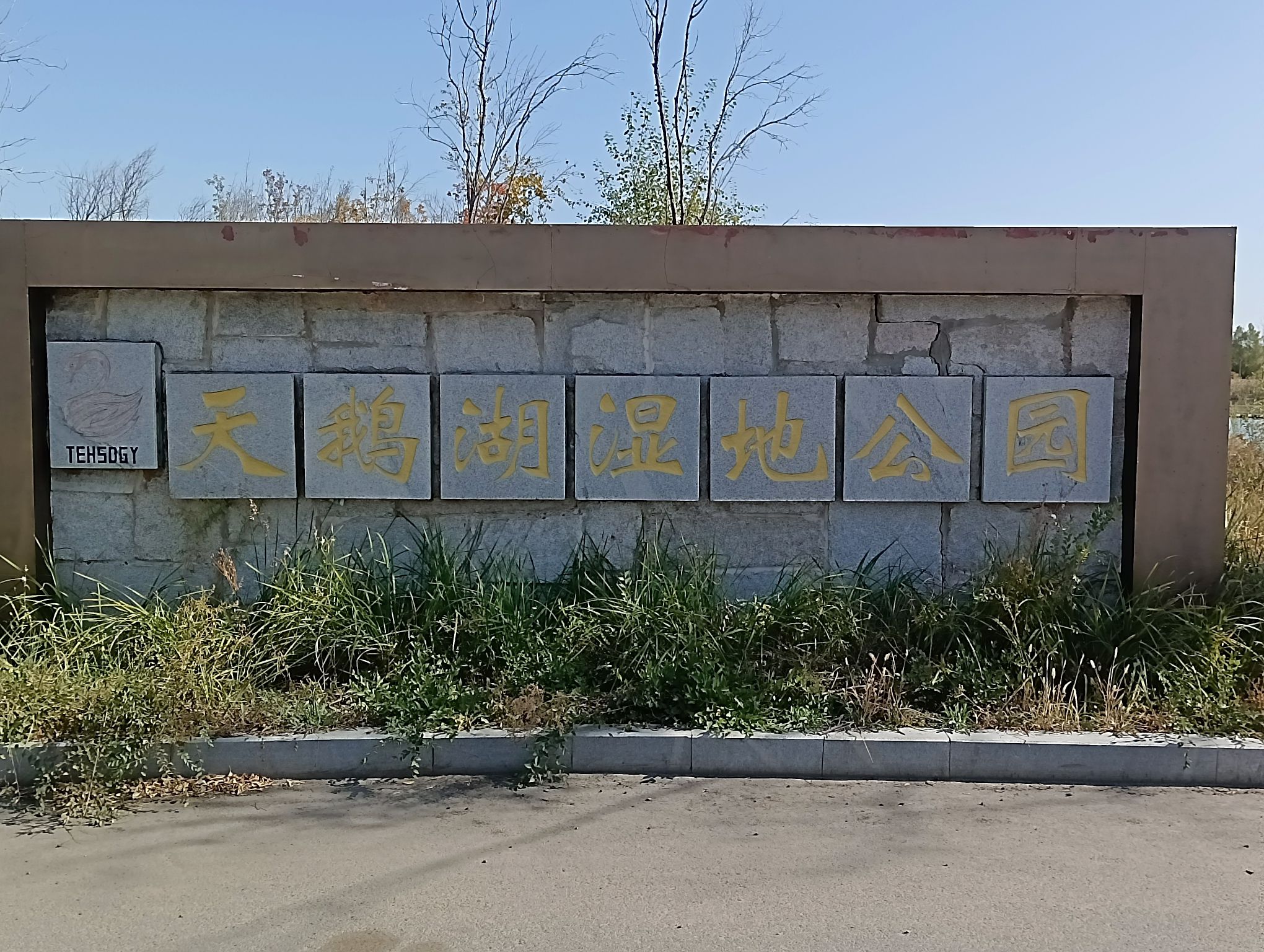 天鹅湖湿地公园