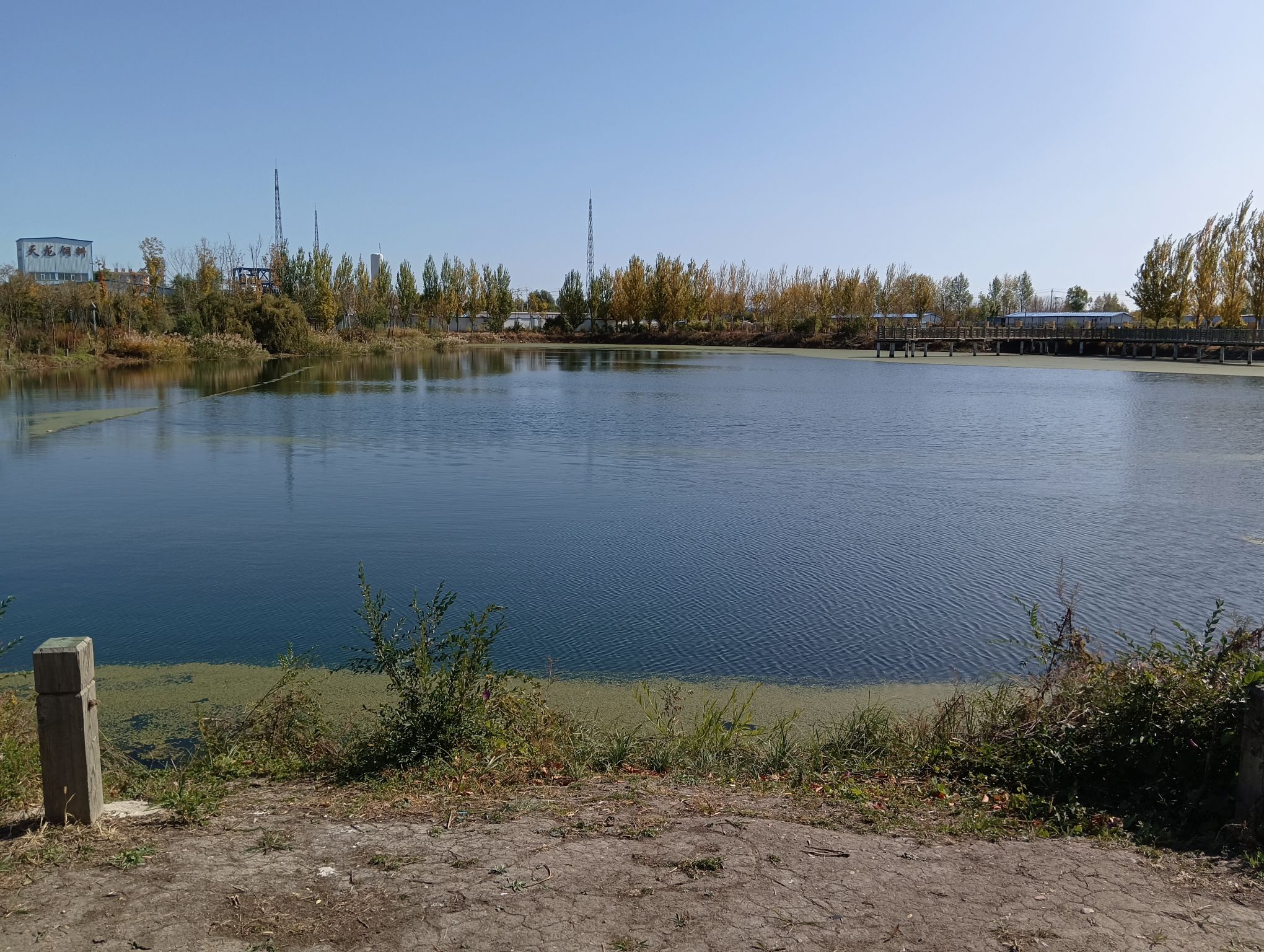 天鹅湖湿地公园旅行图片 1