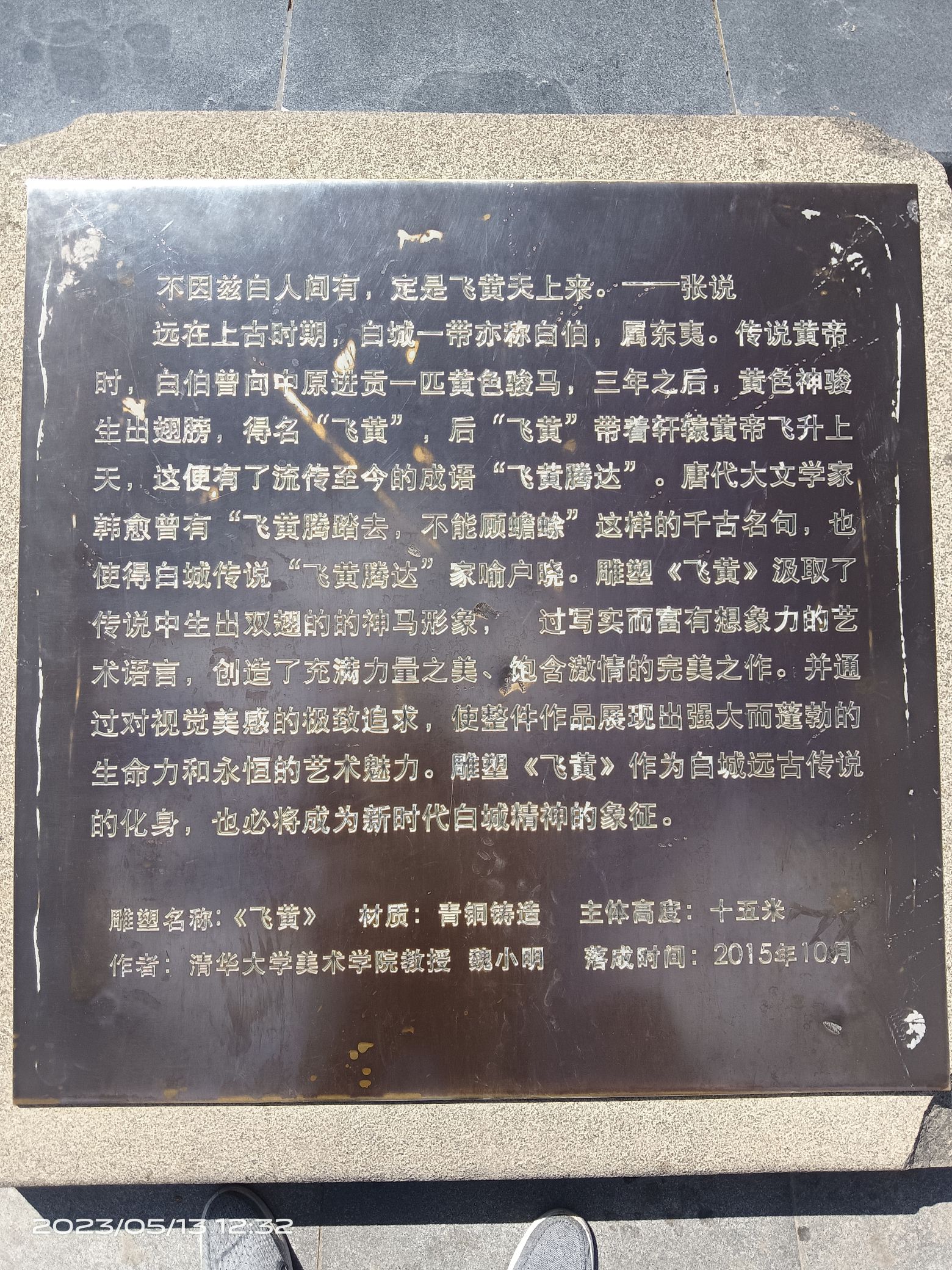 天鹅湖湿地公园旅行图片 3