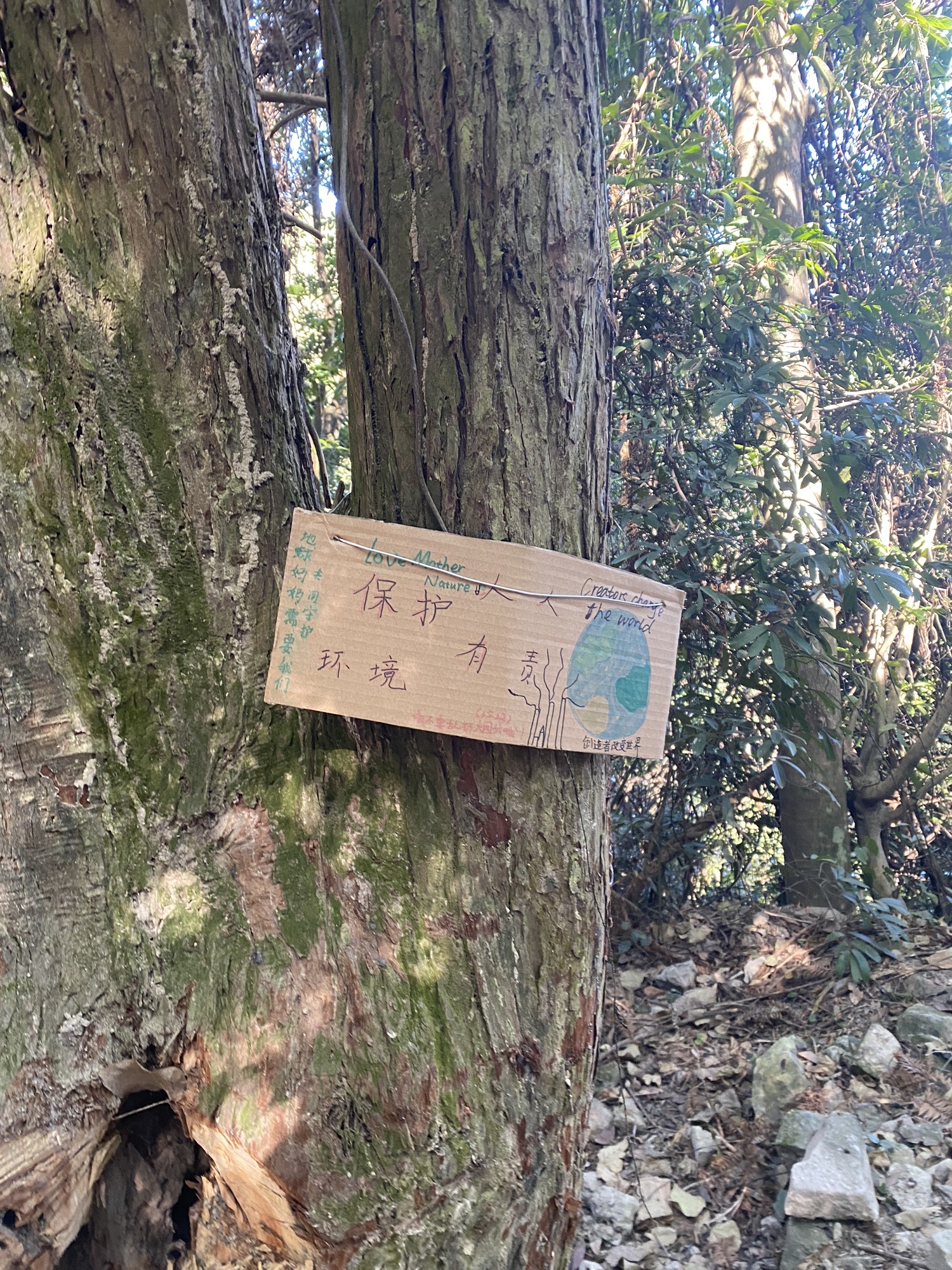 神龙谷旅行图片 3