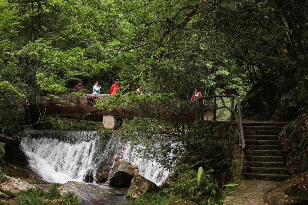 神龙谷旅行图片 1
