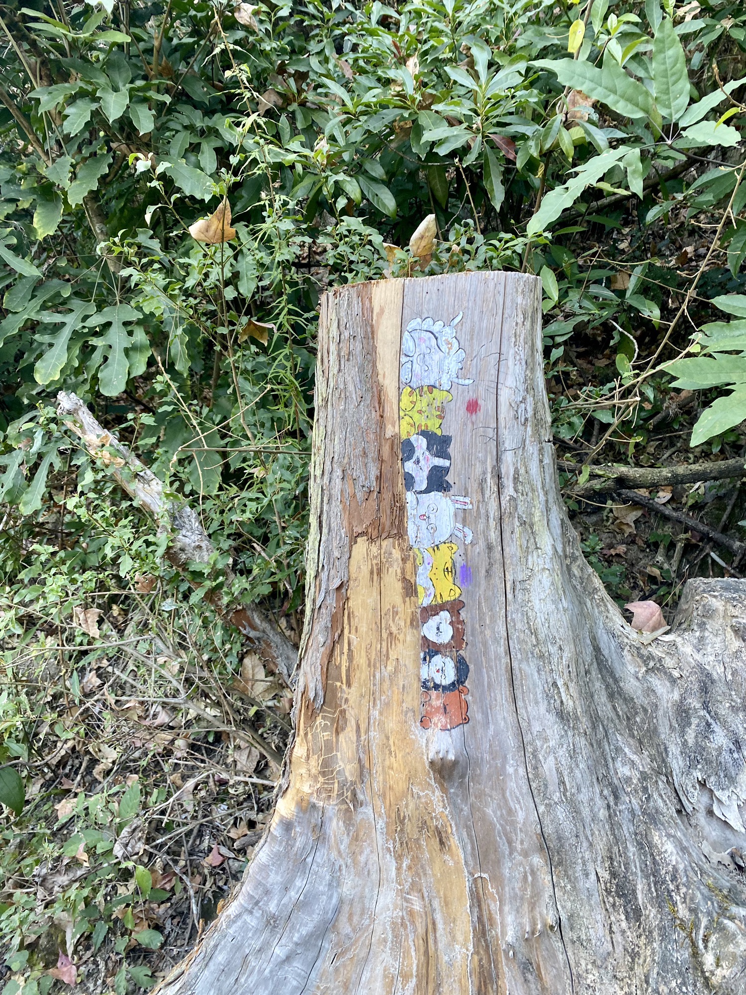 神龙谷旅行图片 2