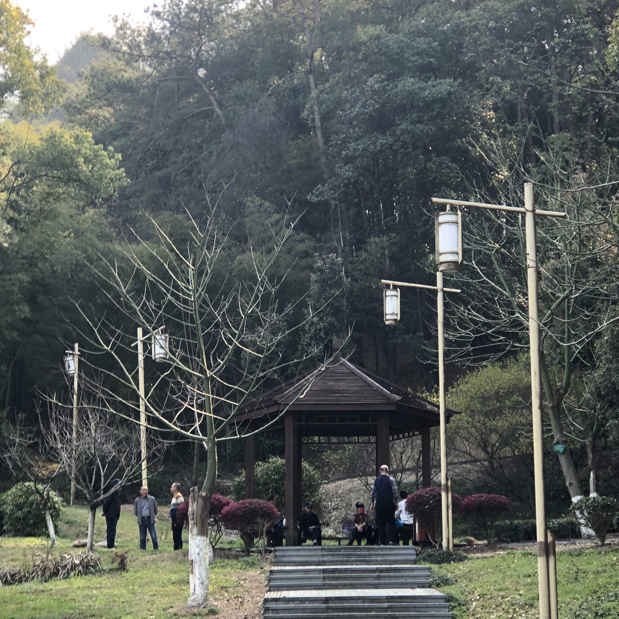 将军山森林公园旅行图片 1