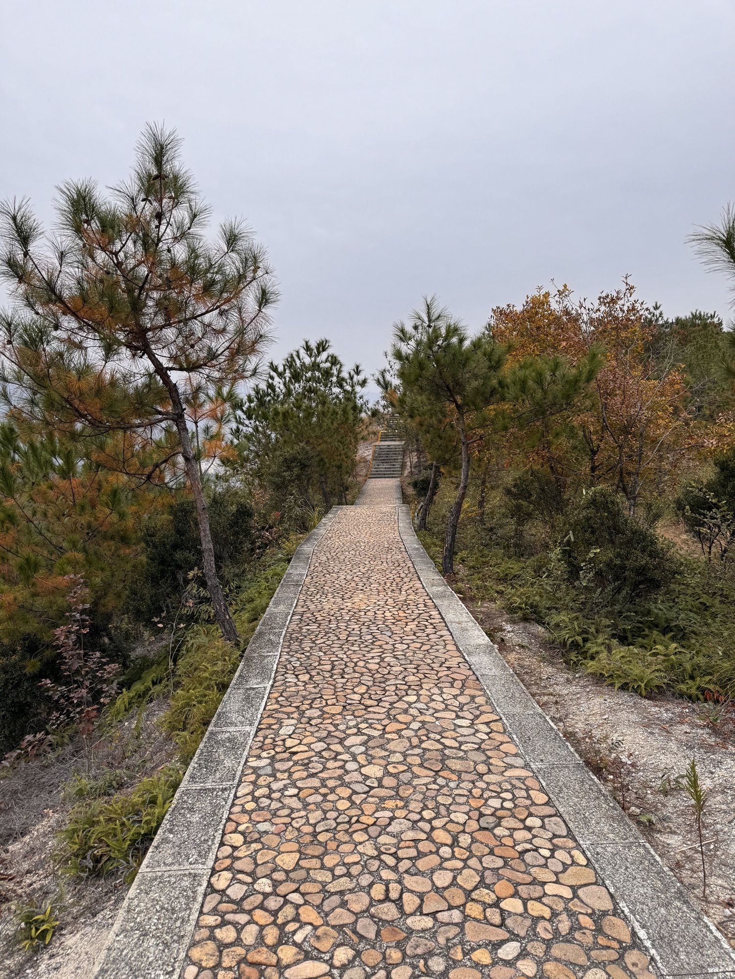 双童山景区旅行图片 3