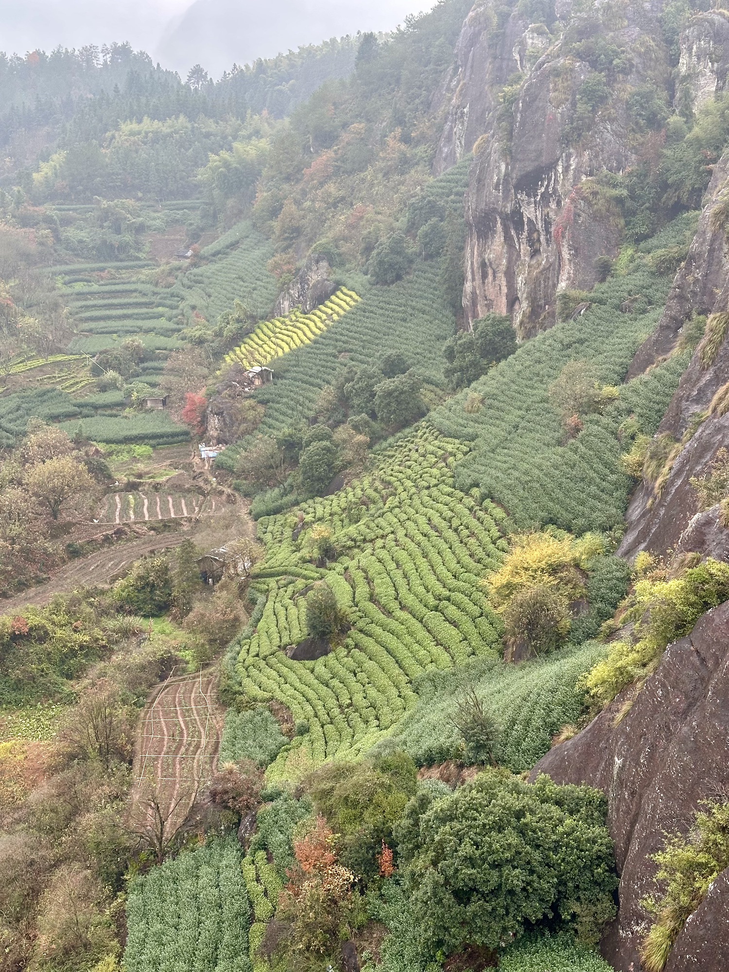双童山景区旅行图片 1