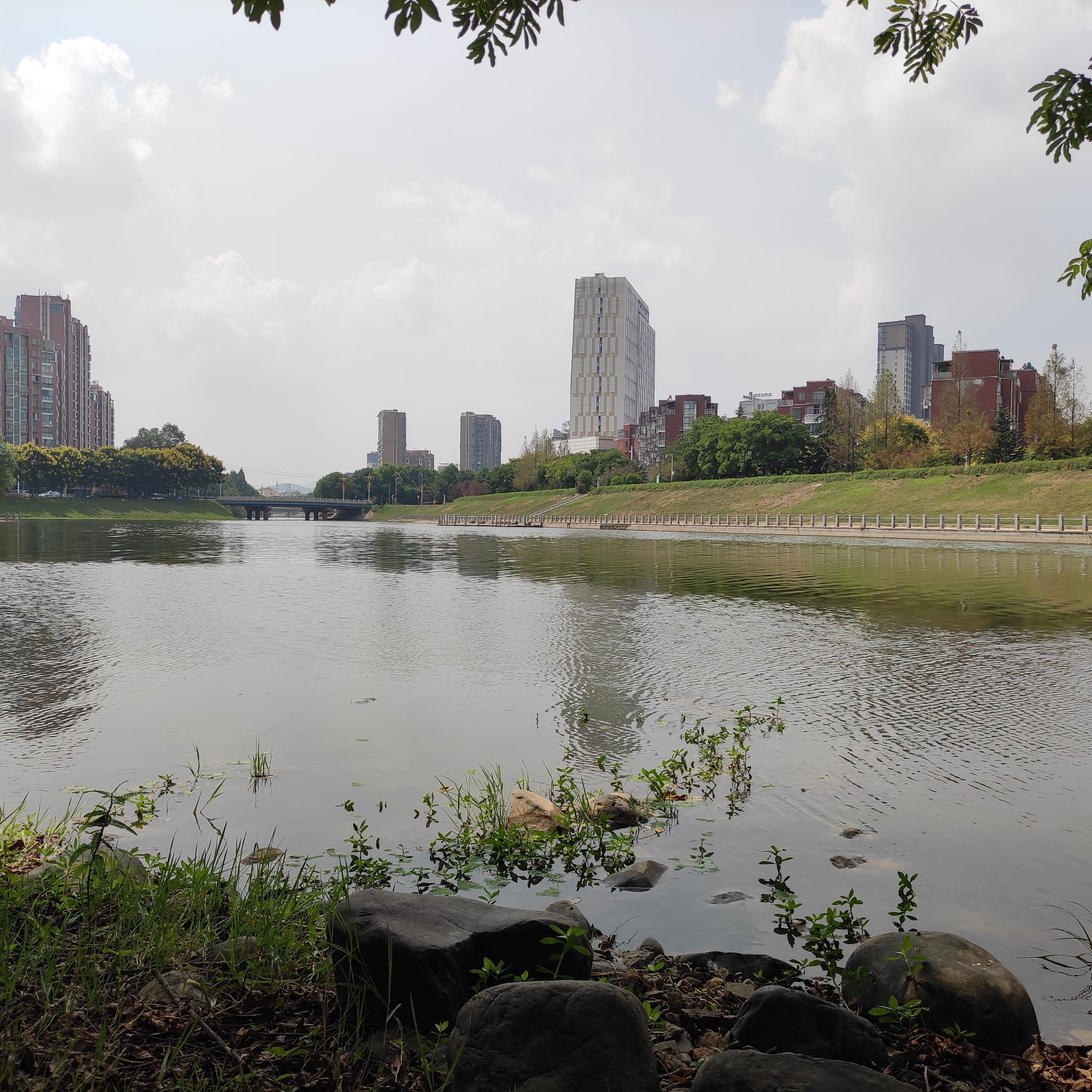 峨溪春早公园旅行图片 2