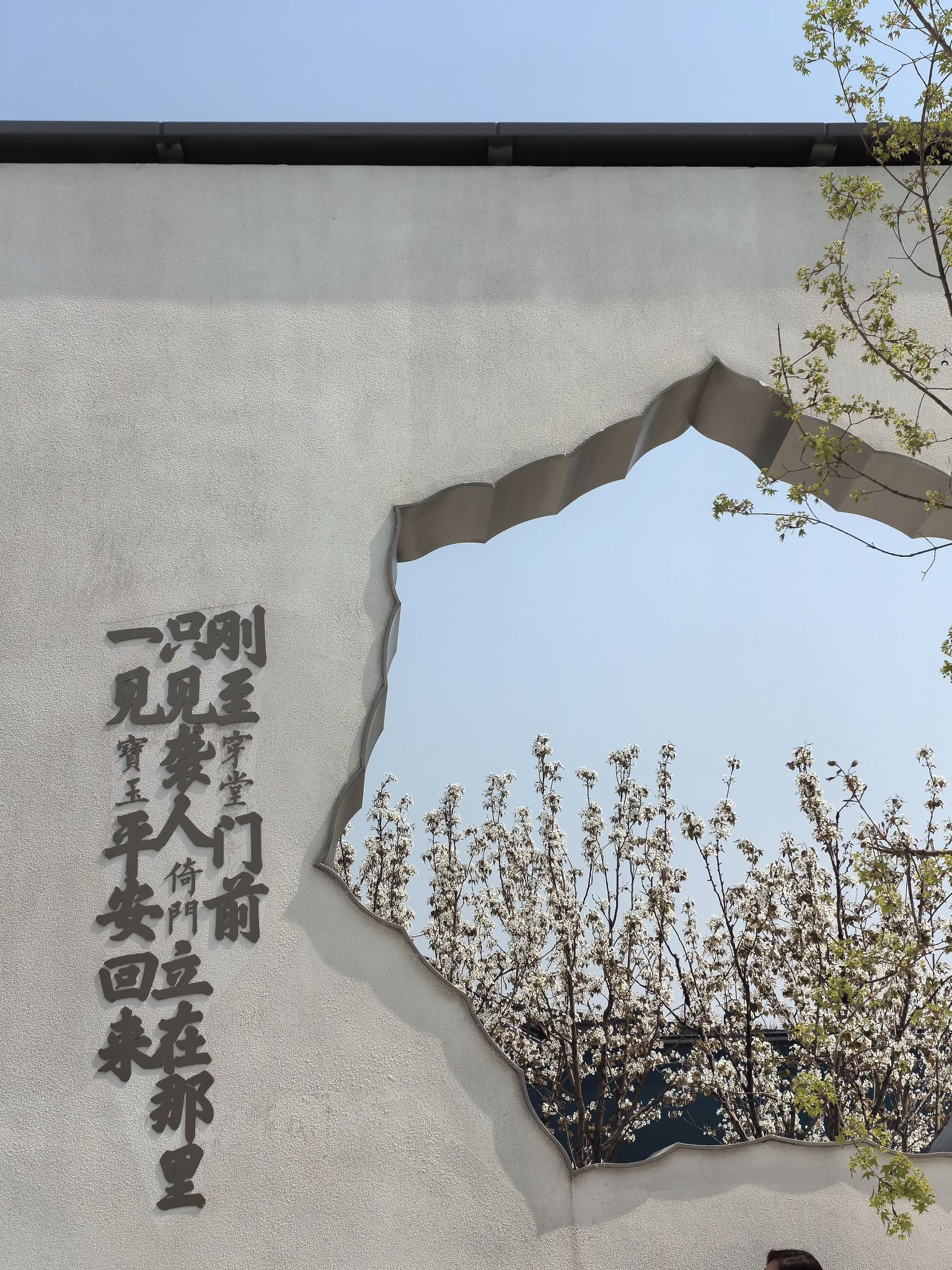 只有红楼梦·戏剧幻城旅行图片 2
