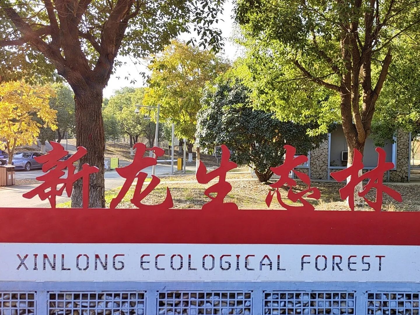 新龙生态林核心区景点图片