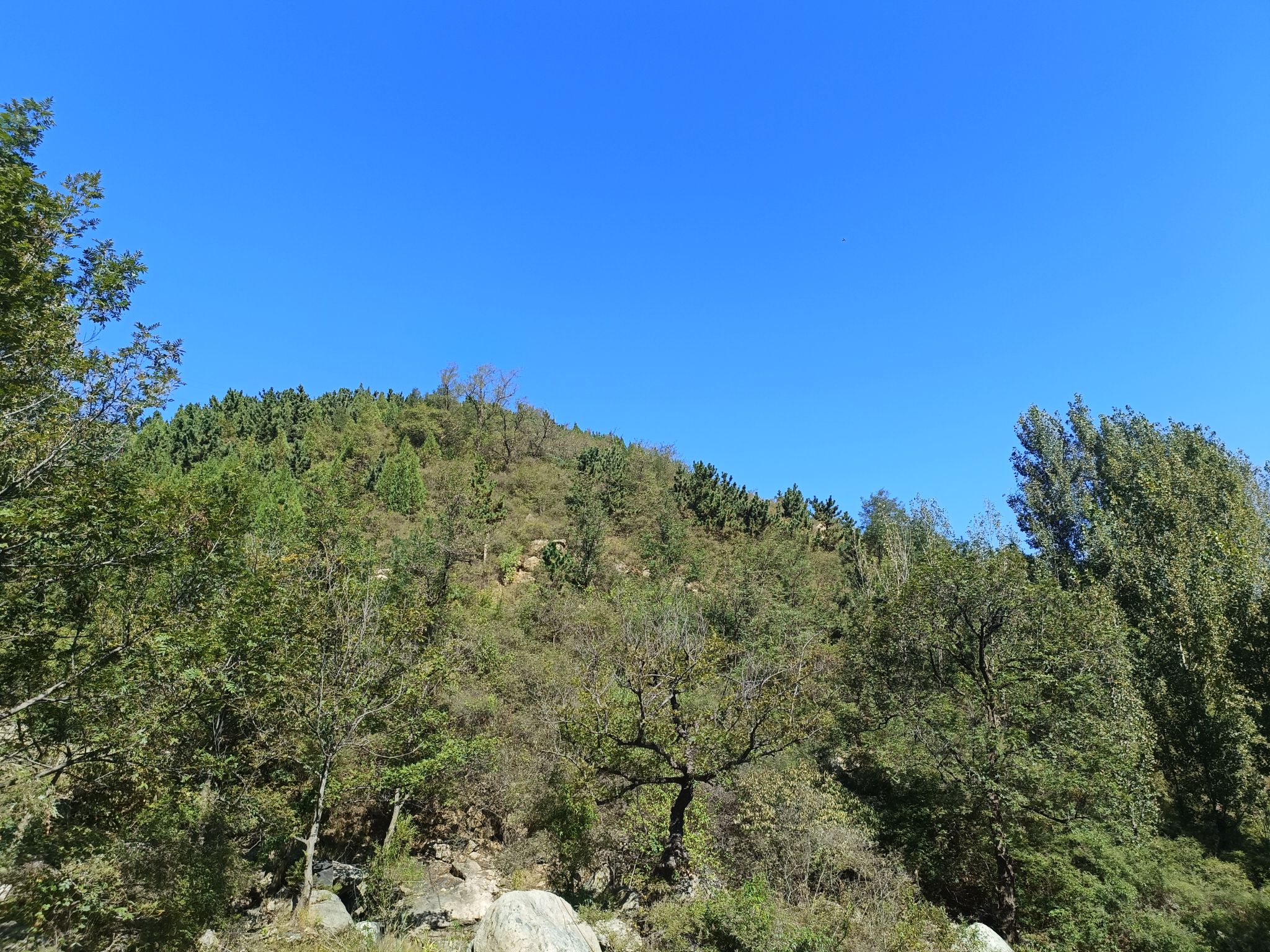 沂蒙山景区旅行图片 3