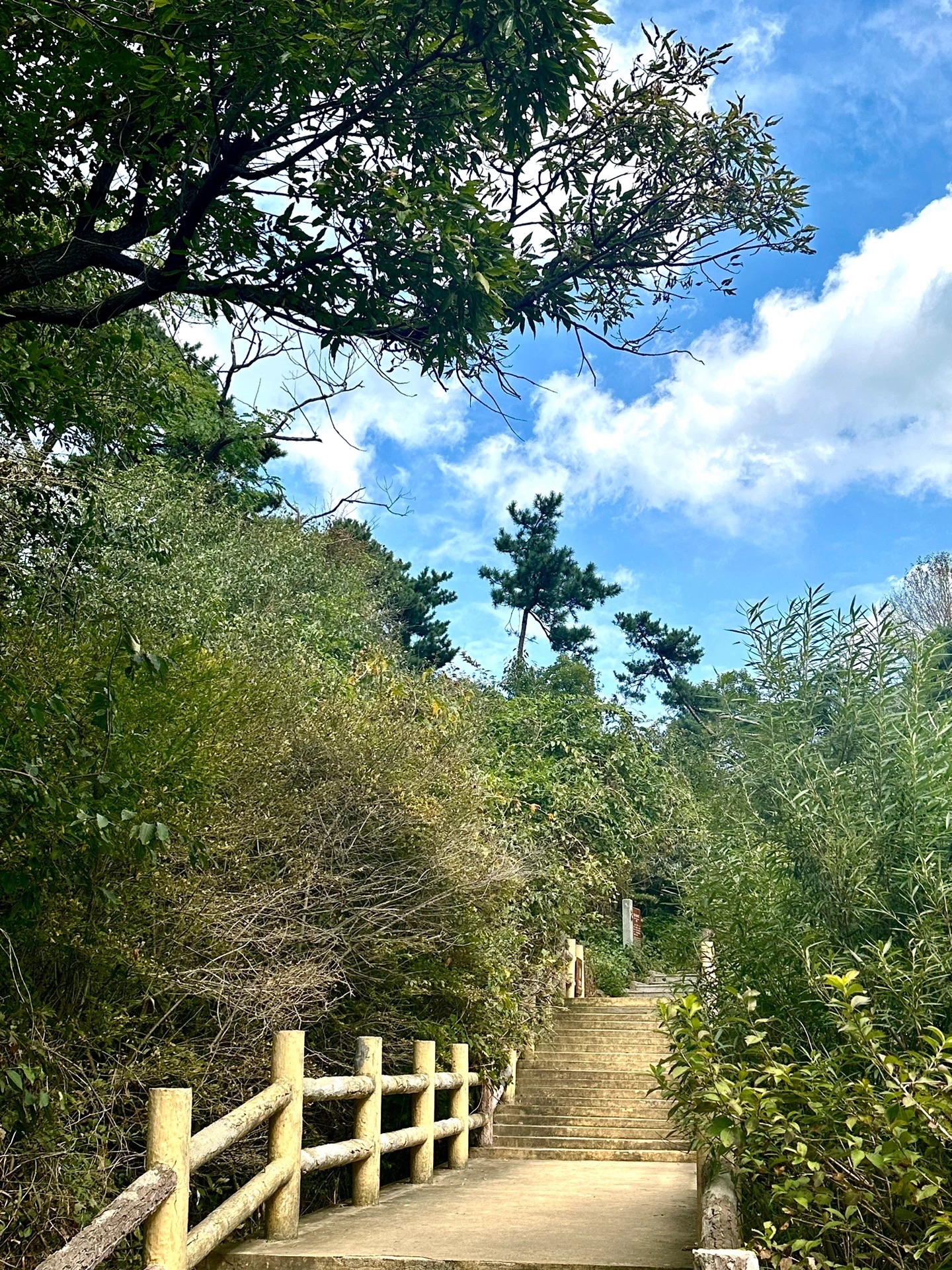 沂蒙山景区旅行图片 3