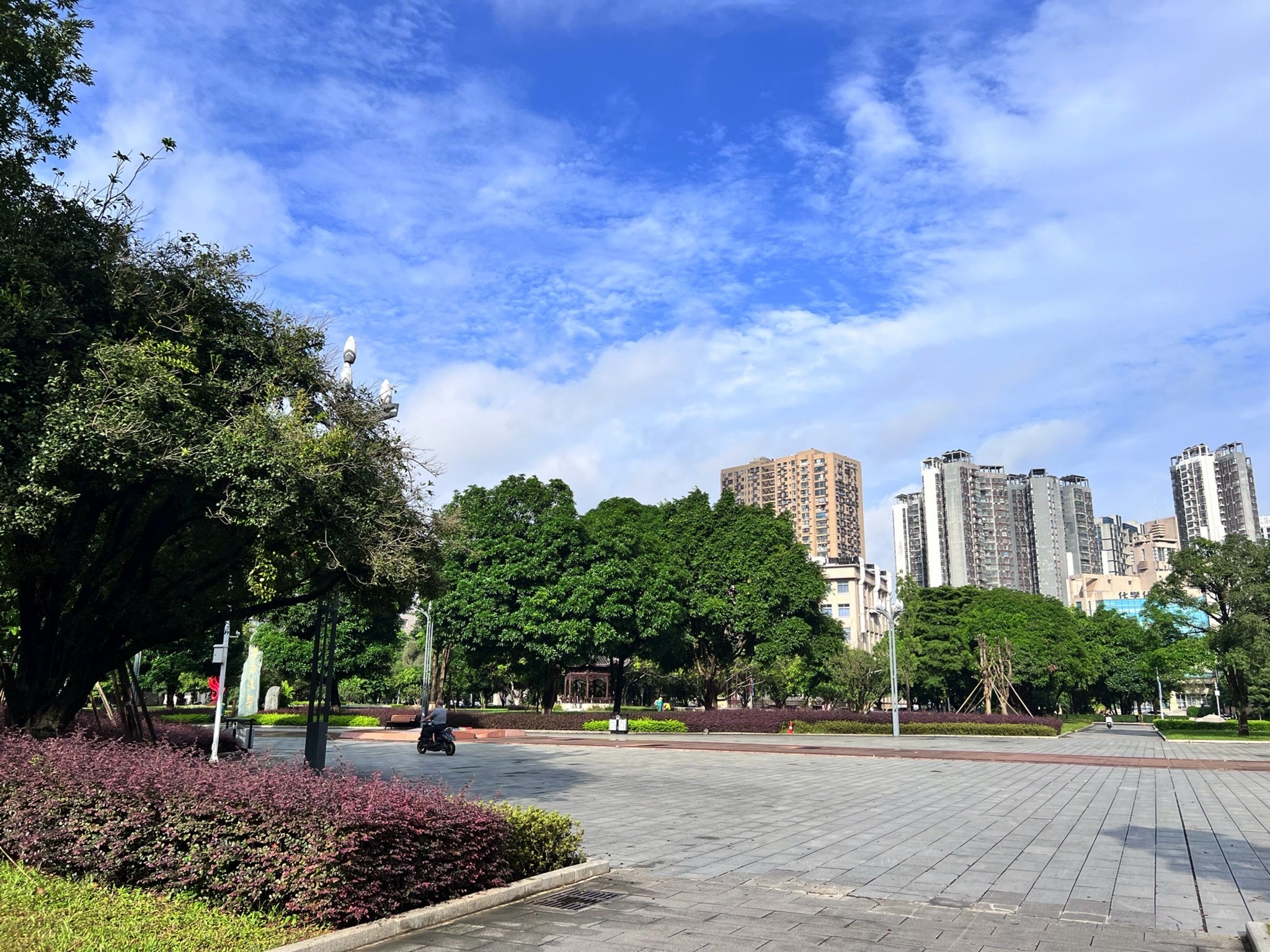 育才广场旅行图片 1