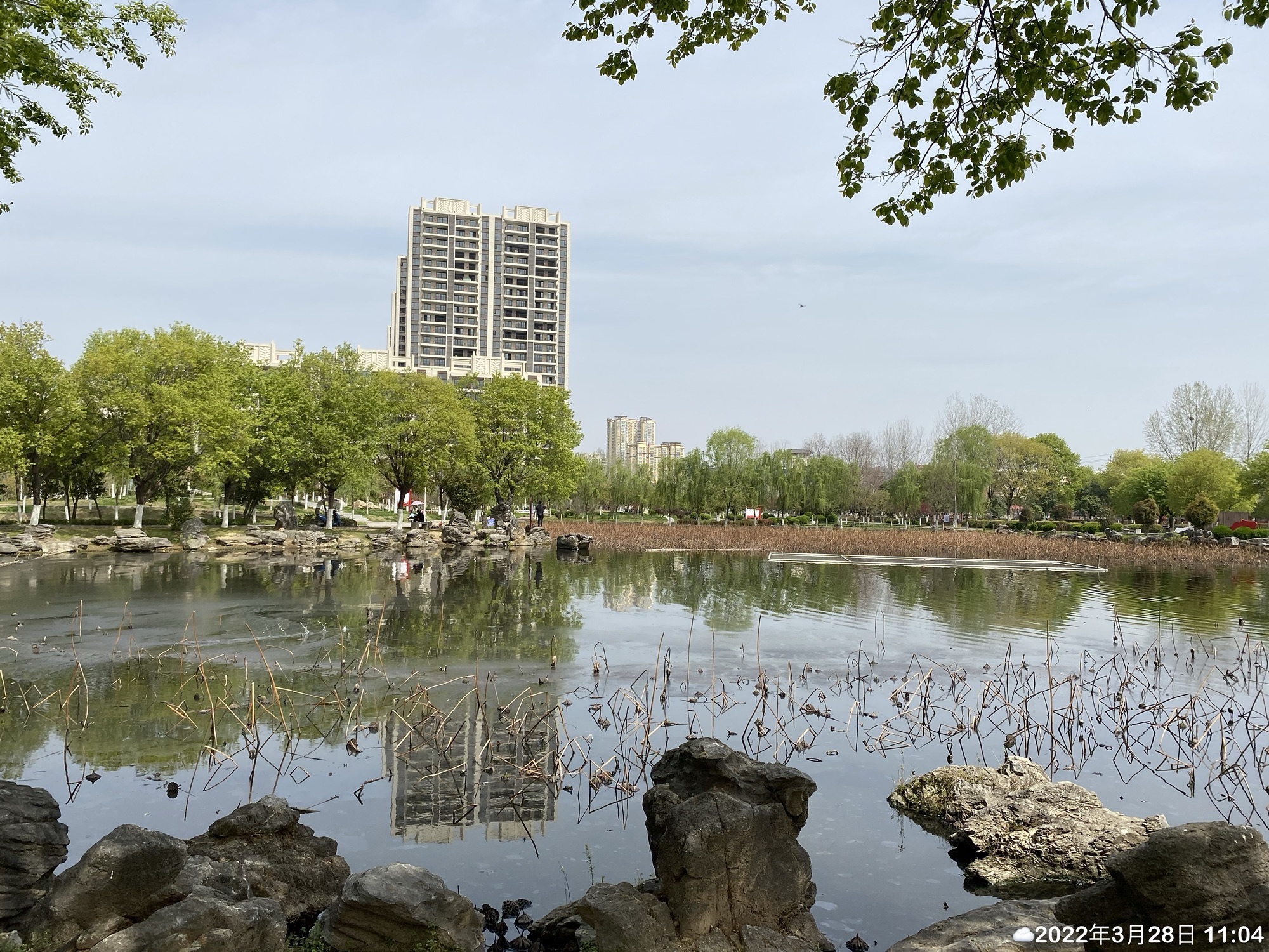 桐柏流香溪人才主题公园旅行图片 3