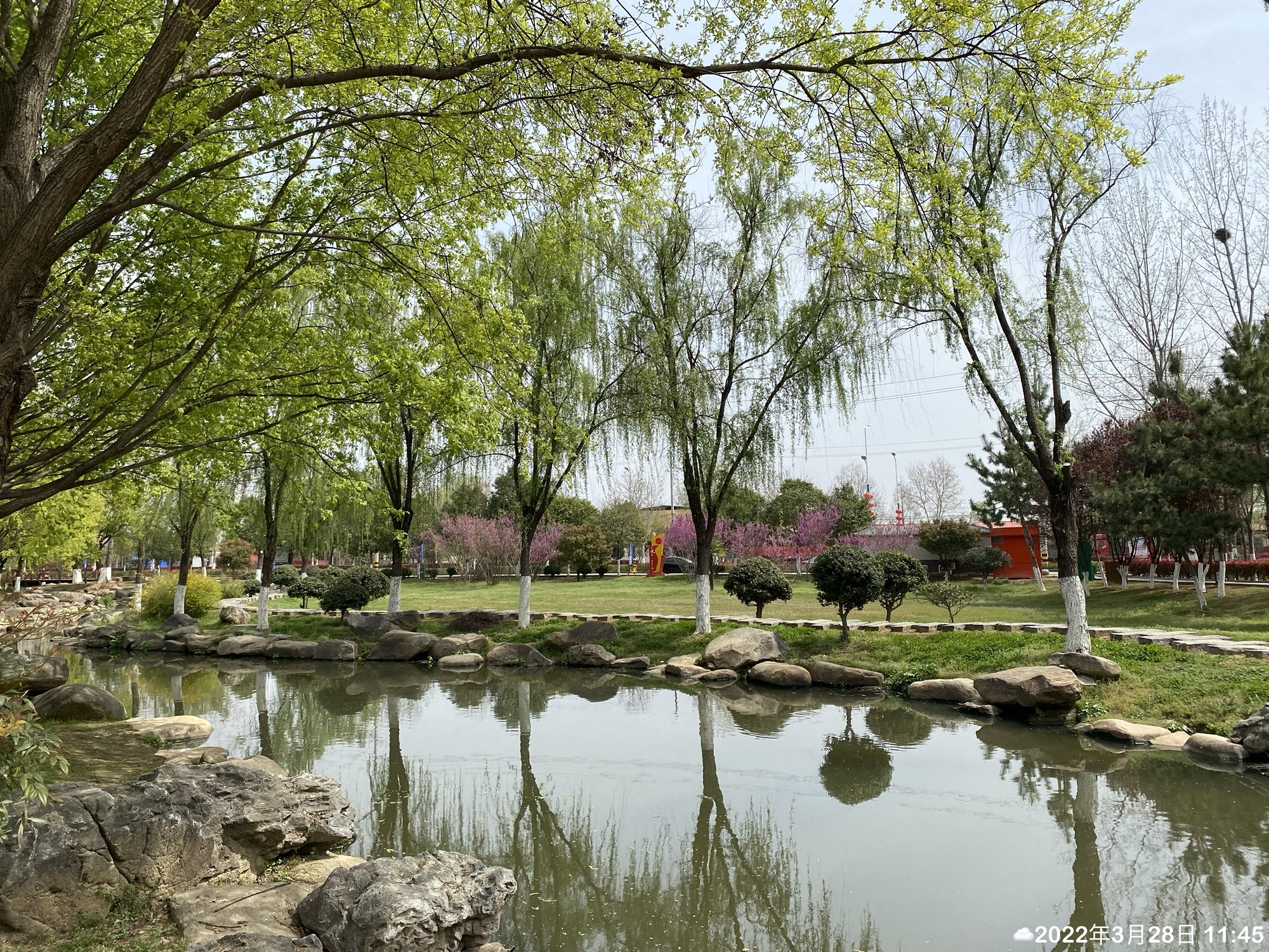 桐柏流香溪人才主题公园旅行图片 2
