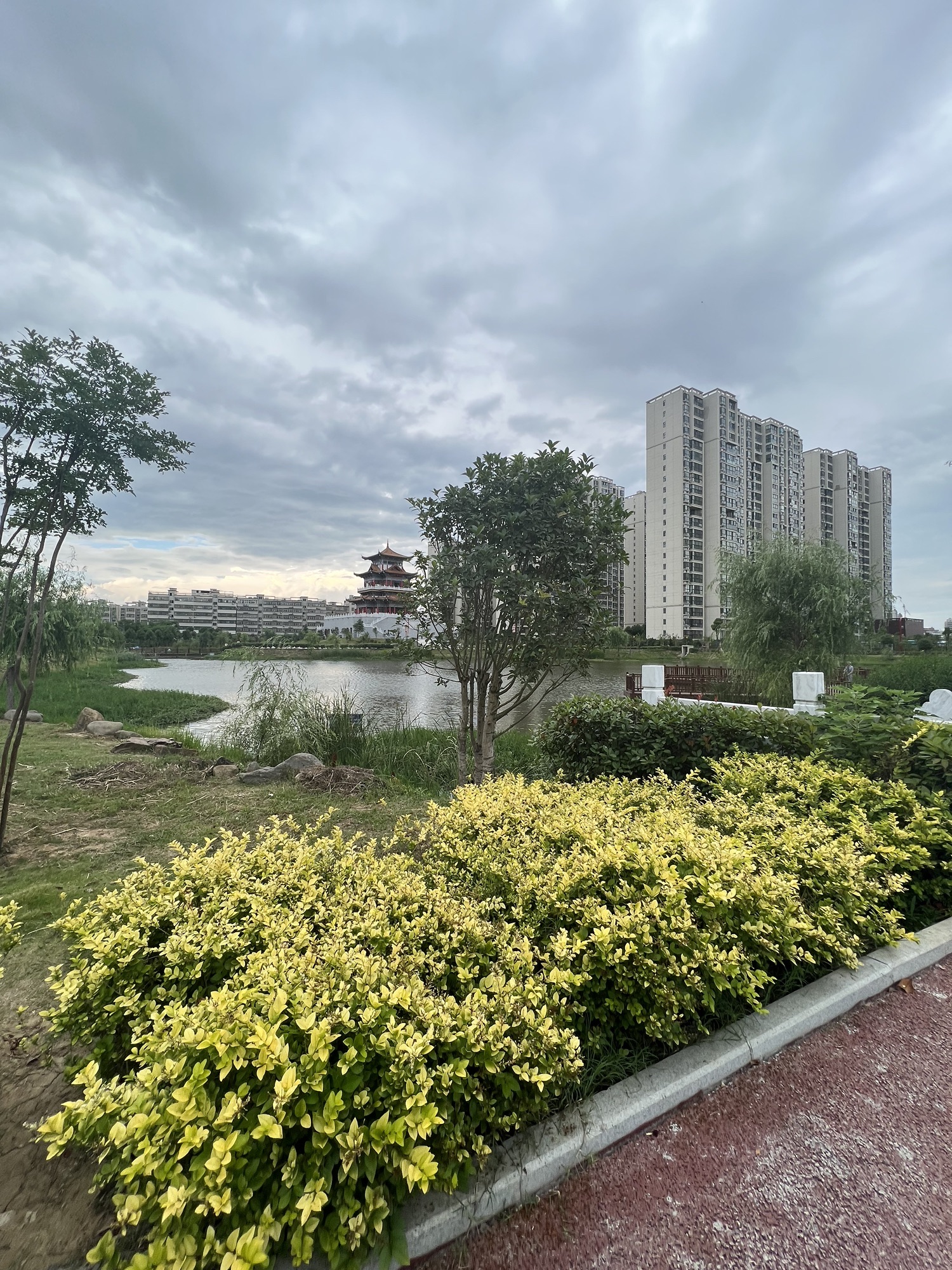 七星湖公园旅行图片 3