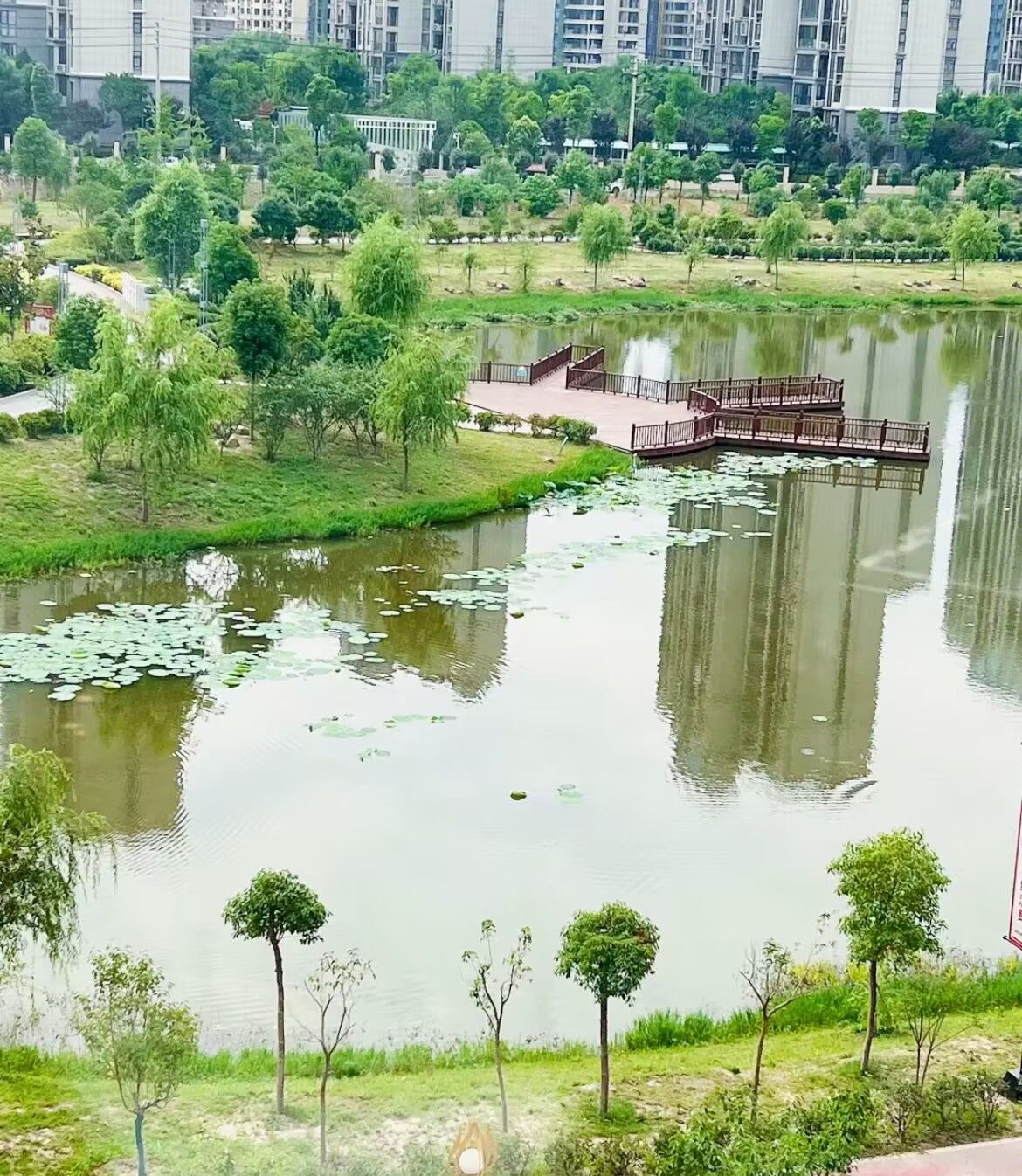 七星湖公园旅行图片 3